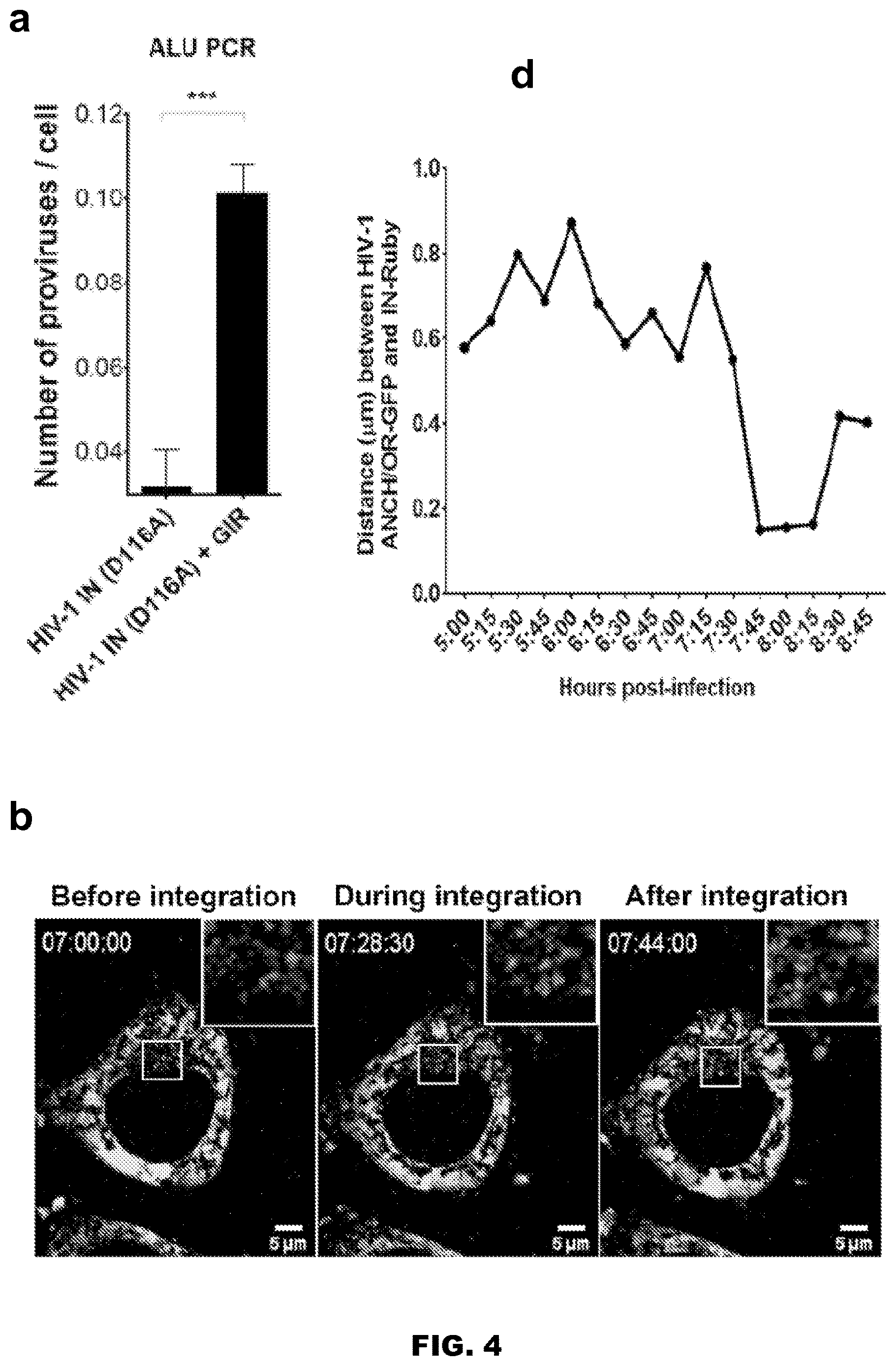 Patent US12613239 Figure 8 – Live imaging system to visualize the retro-transcribed viral DNA genome
