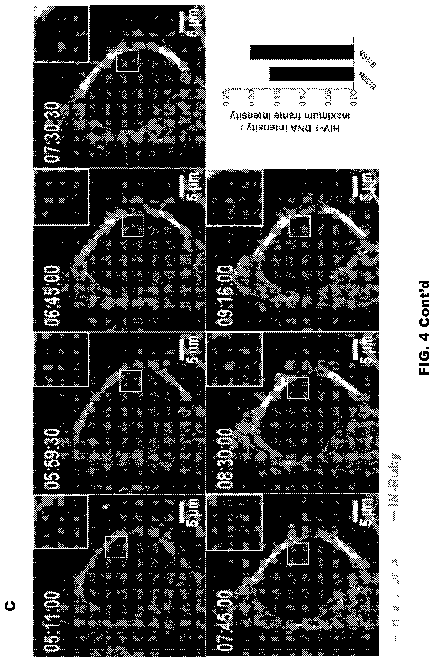 Patent US12613239 Figure 9 – Live imaging system to visualize the retro-transcribed viral DNA genome