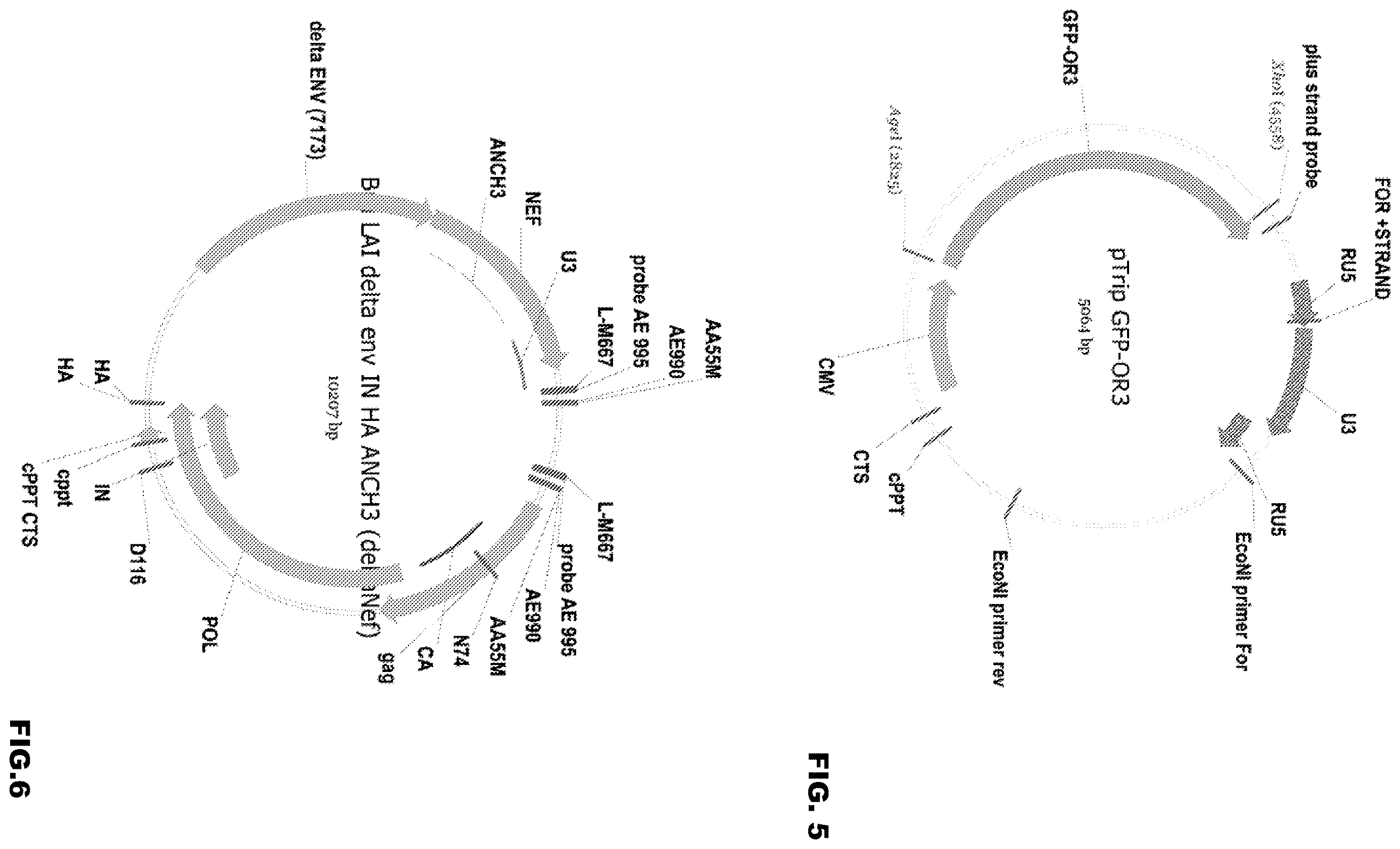 Patent US12613239 Figure 10 – Live imaging system to visualize the retro-transcribed viral DNA genome