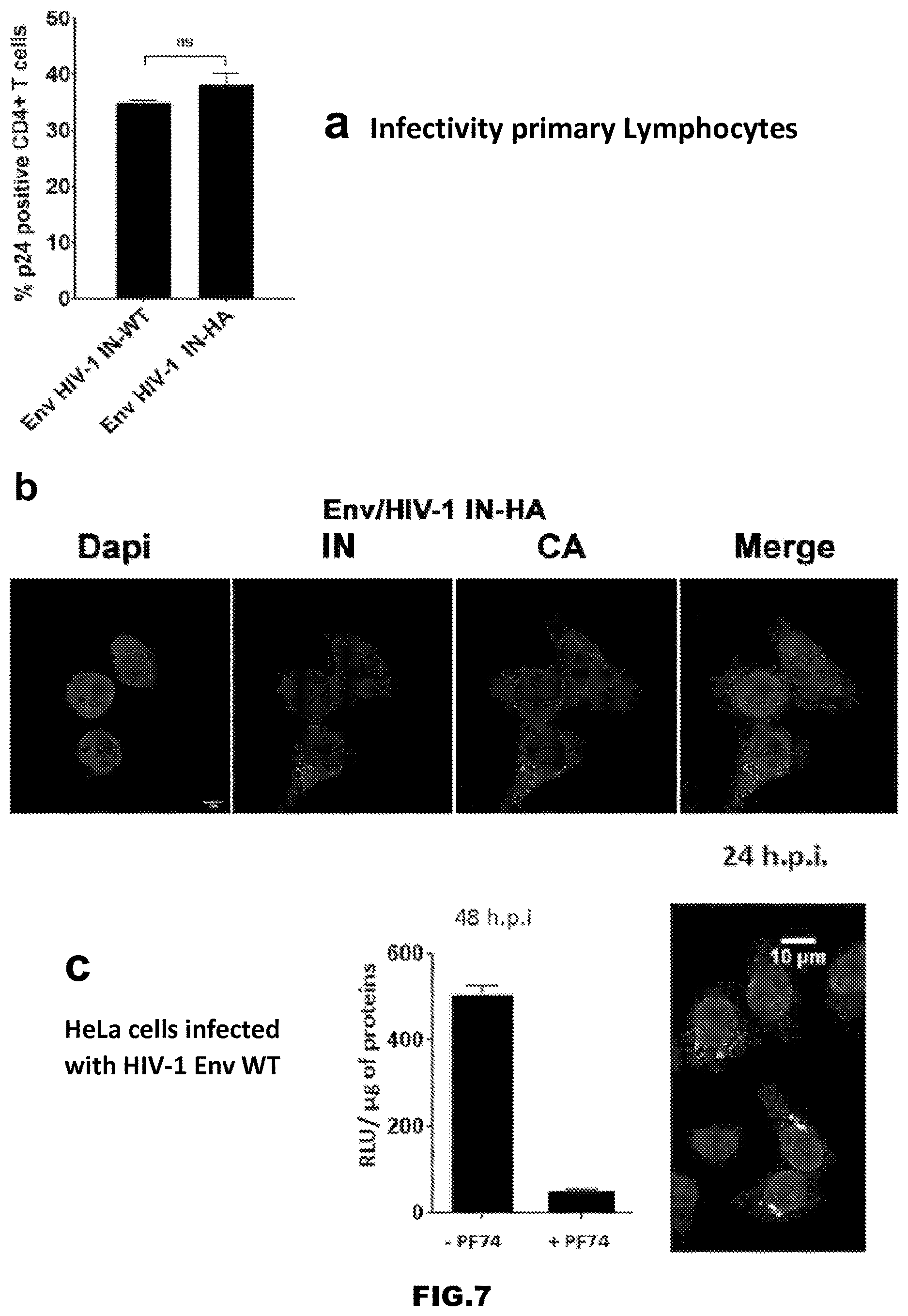 Patent US12613239 Figure 11 – Live imaging system to visualize the retro-transcribed viral DNA genome