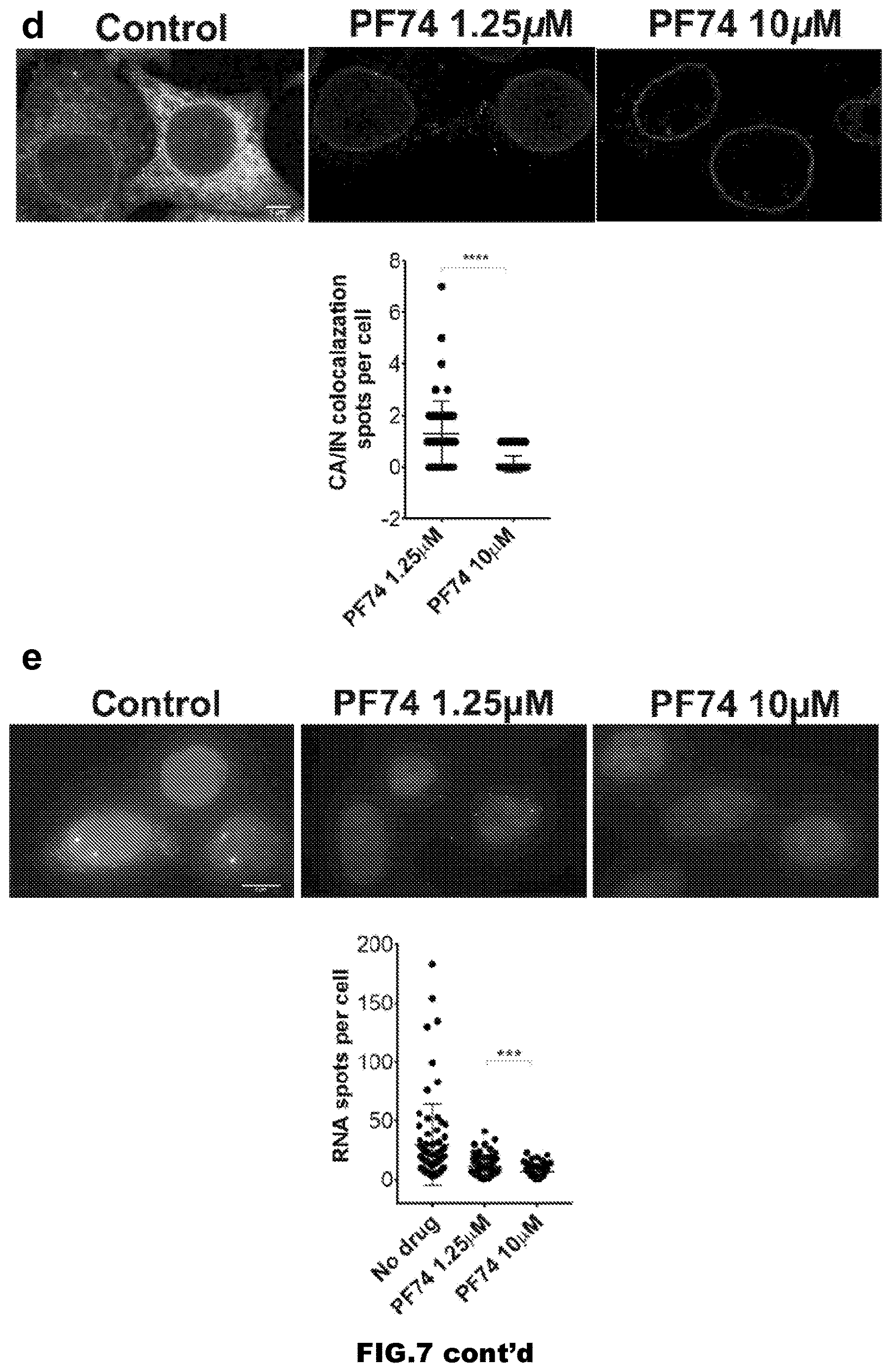 Patent US12613239 Figure 12 – Live imaging system to visualize the retro-transcribed viral DNA genome