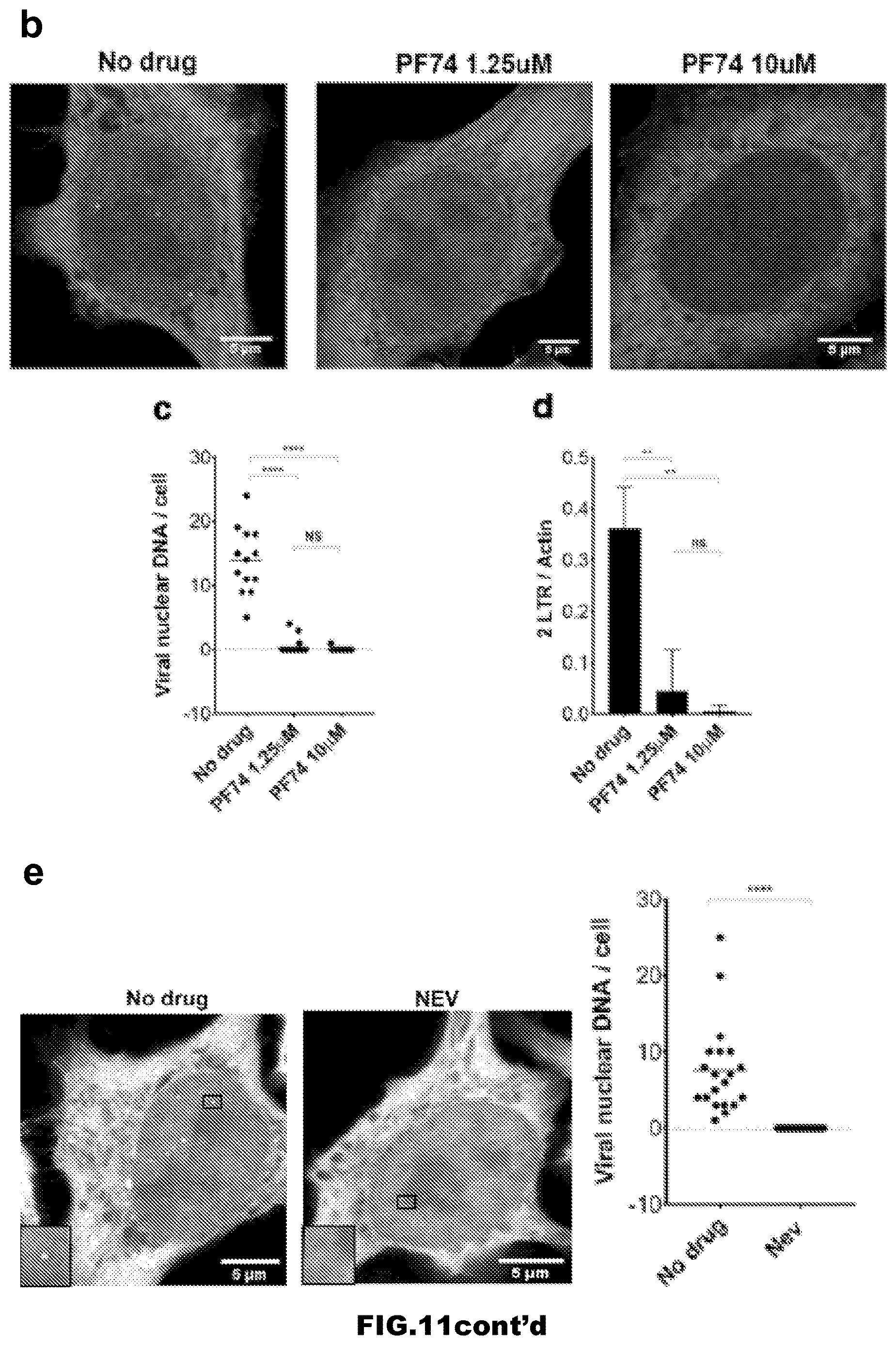 Patent US12613239 Figure 17 – Live imaging system to visualize the retro-transcribed viral DNA genome