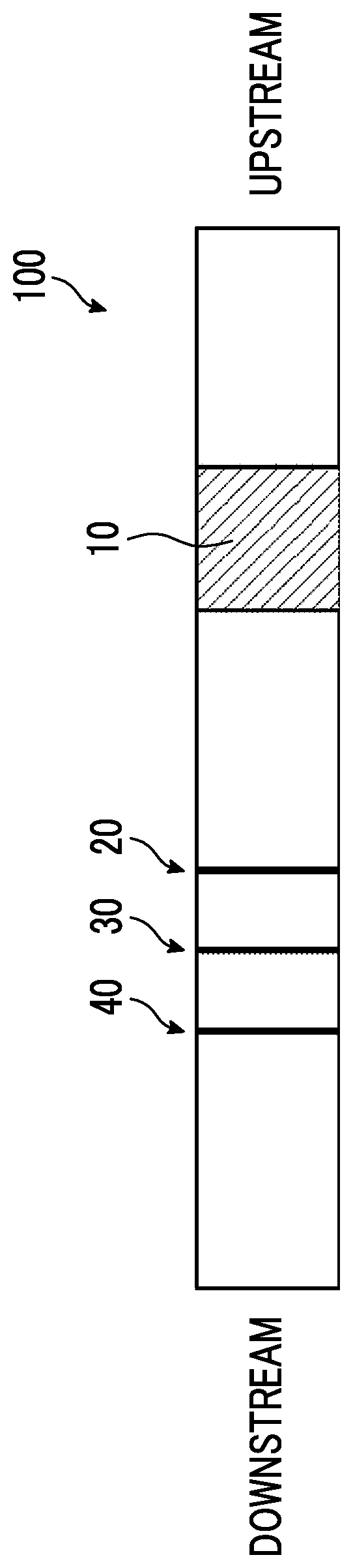 Patent US12613240 Figure 1 – Immunochromatography
