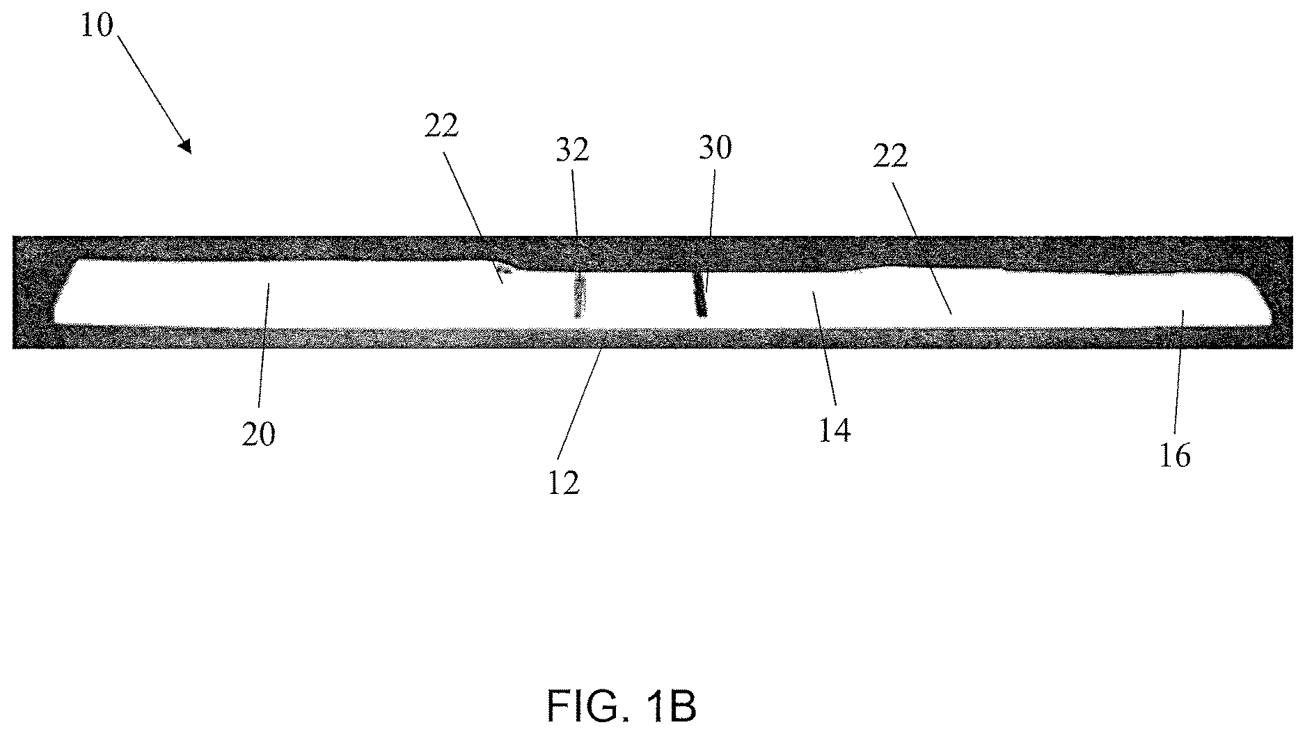 Patent US12613243 Figure 2 – Test device, method and assembly