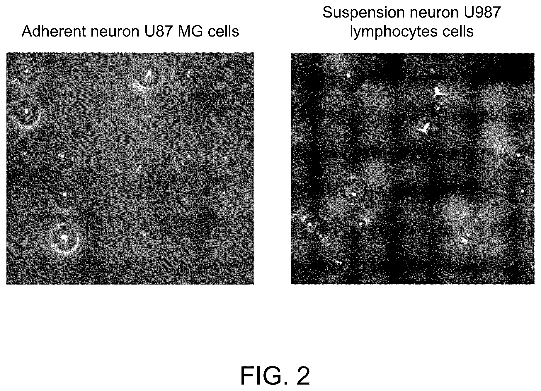 Patent US12613244 Figure 2 – Method for rapid accurate dispensing, visualization and analysis of single cells