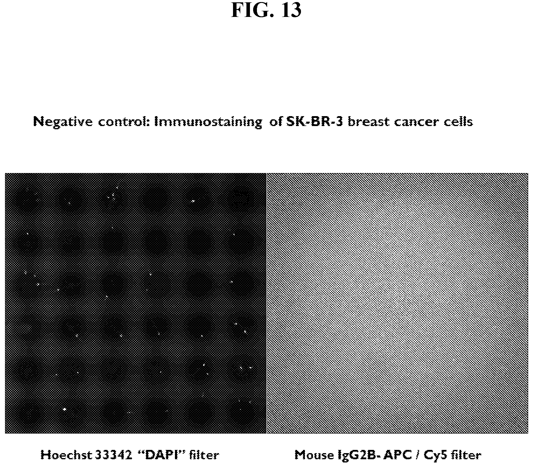 Patent US12613244 Figure 13 – Method for rapid accurate dispensing, visualization and analysis of single cells