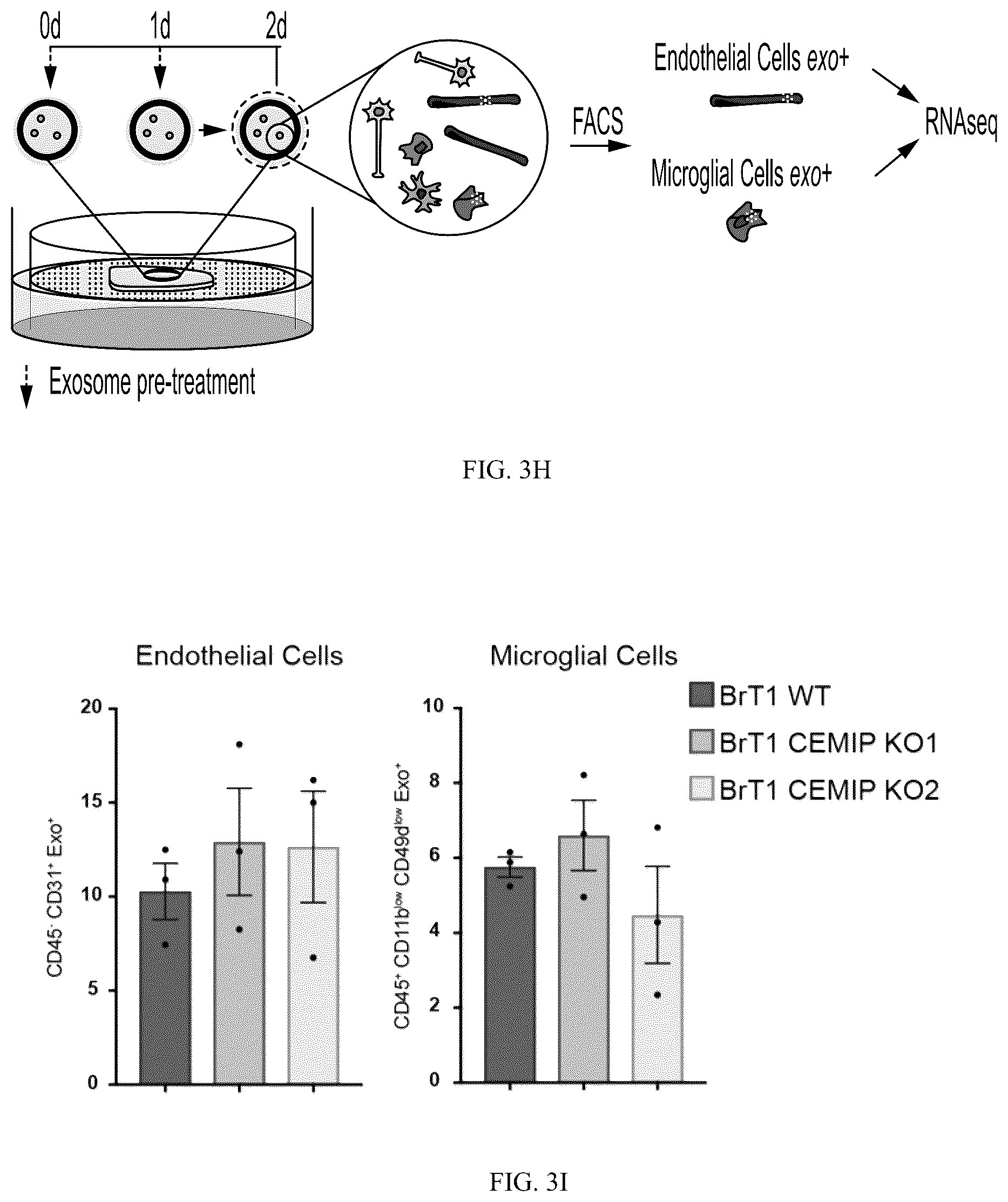 Patent US12613245 Figure 10 – Methods for detecting and inhibiting brain metastasis