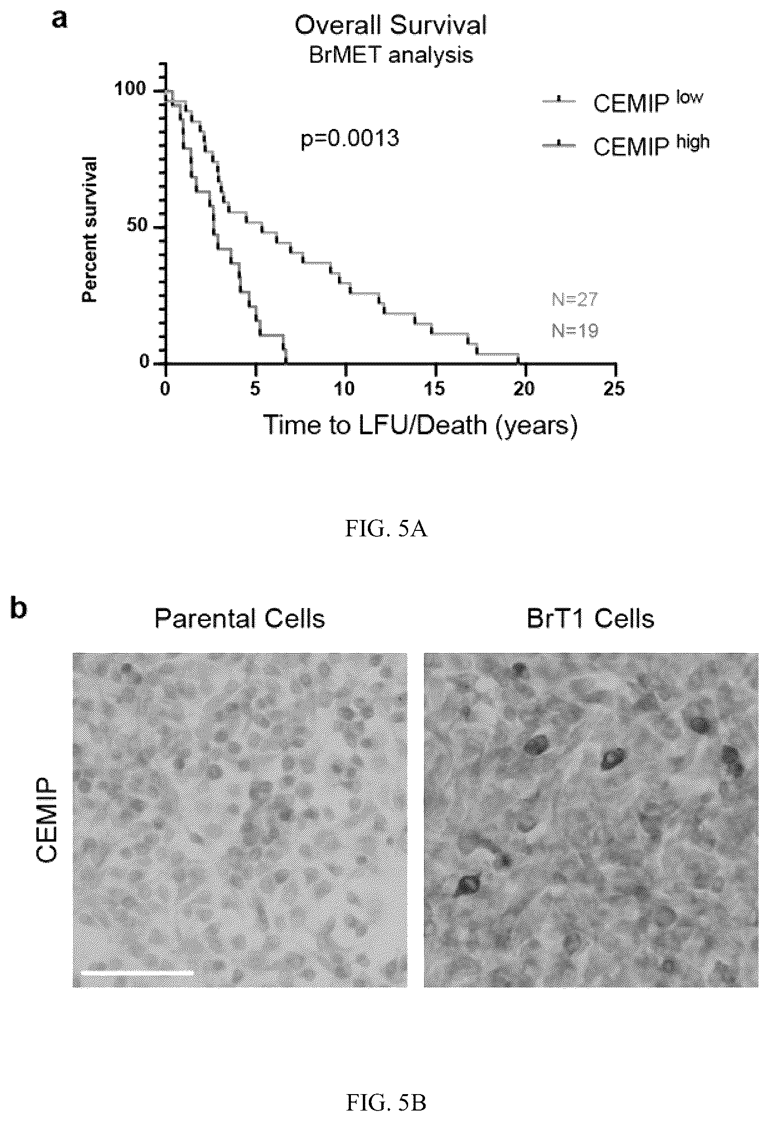 Patent US12613245 Figure 14 – Methods for detecting and inhibiting brain metastasis