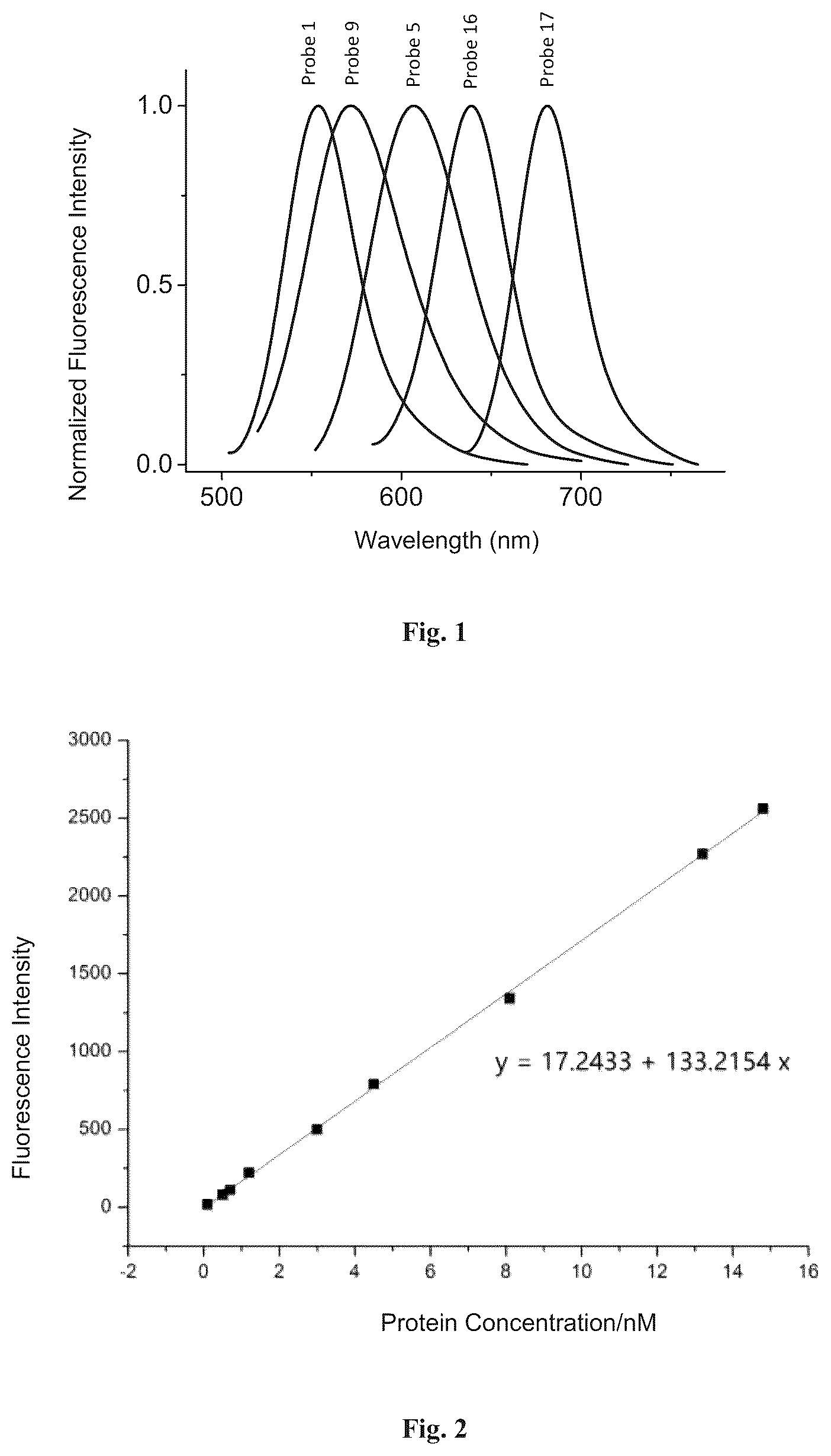 Patent US12613246 Figure 1 – Fluorescent probe and protein labeling method