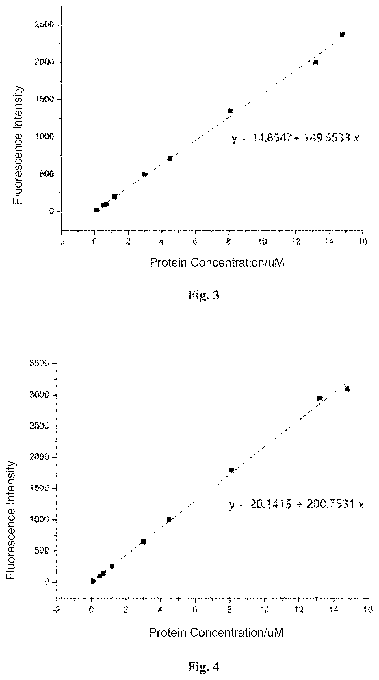 Patent US12613246 Figure 2 – Fluorescent probe and protein labeling method