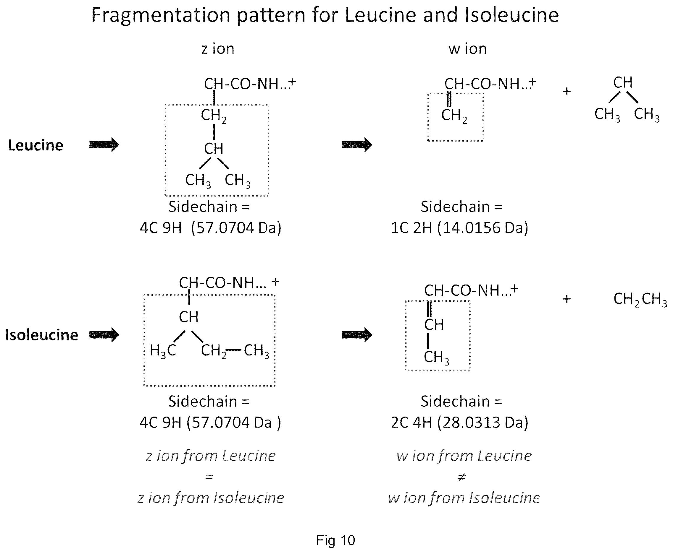 Patent US12613247 Figure 15 – Labelling method to distinguish isobaric amino acids and amino acid combinations