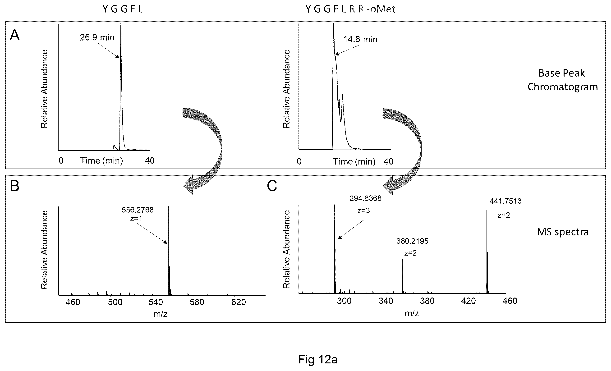 Patent US12613247 Figure 17 – Labelling method to distinguish isobaric amino acids and amino acid combinations