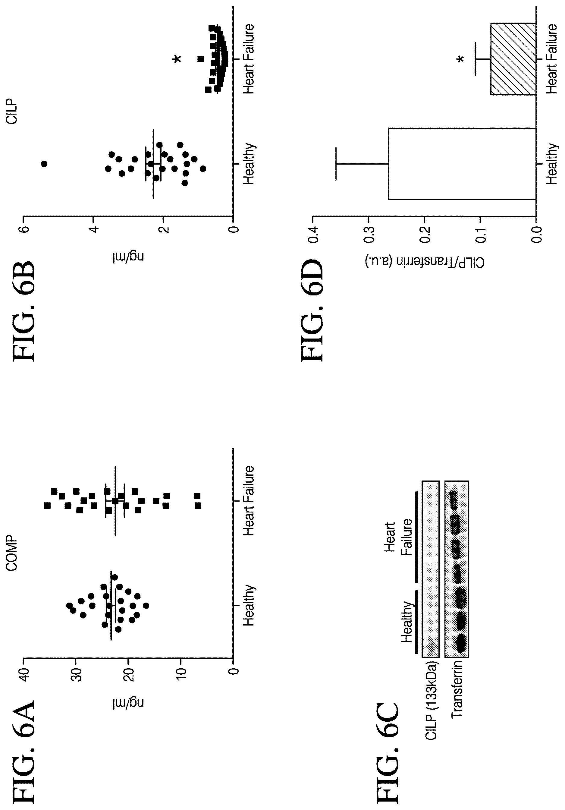 Patent US12613248 Figure 6 – Full-length CILP as a biomarker for cardiac fibrosis