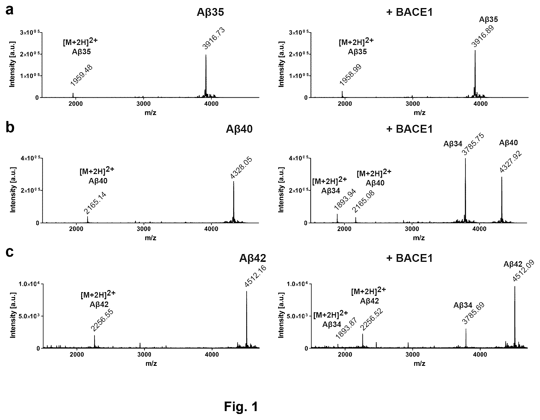 Patent US12613249 Figure 1 – Use of Aβ34 to assess Alzheimer's disease progression