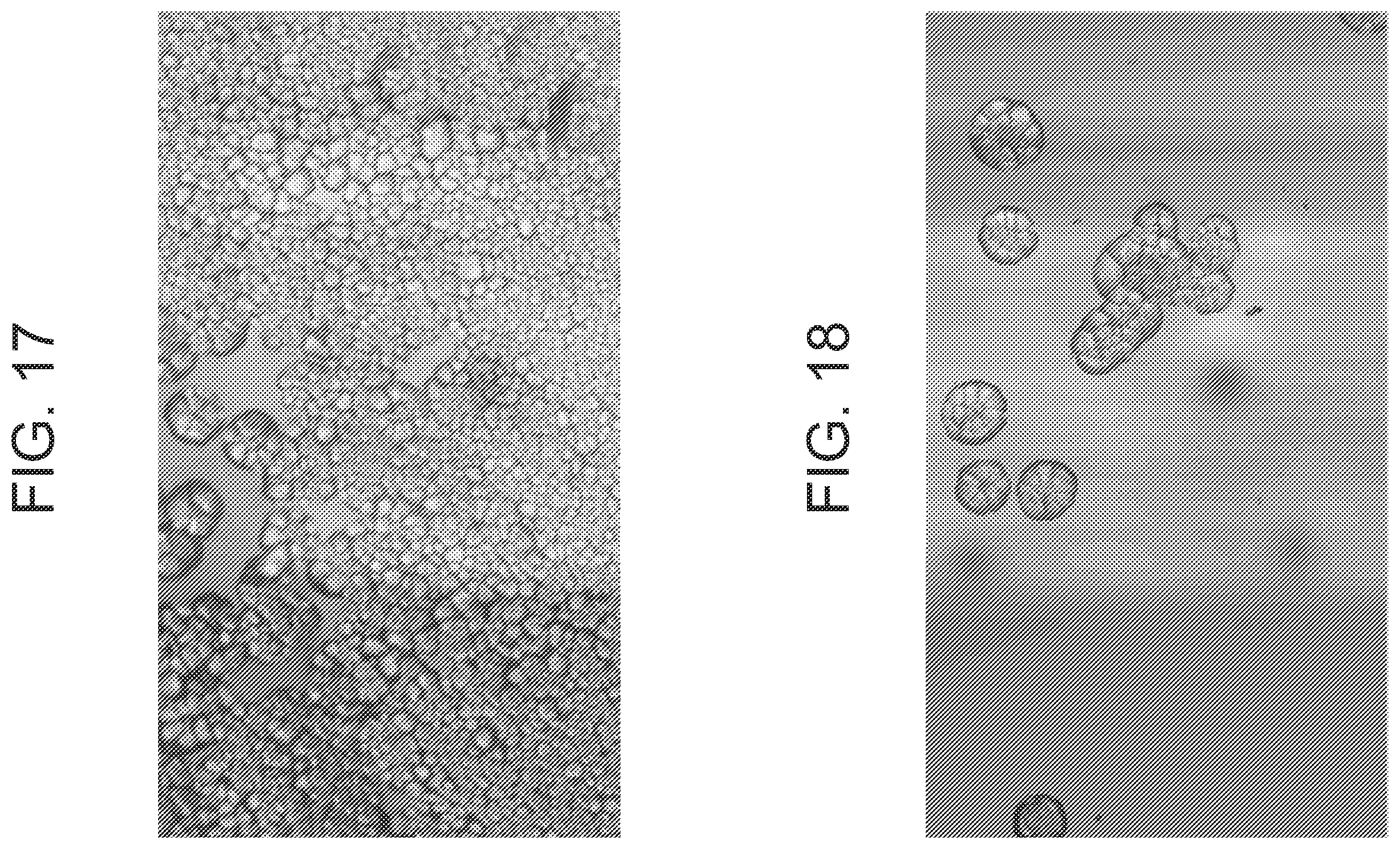 Patent US12613364 Figure 9 – Glass diffraction grating and method of producing the same