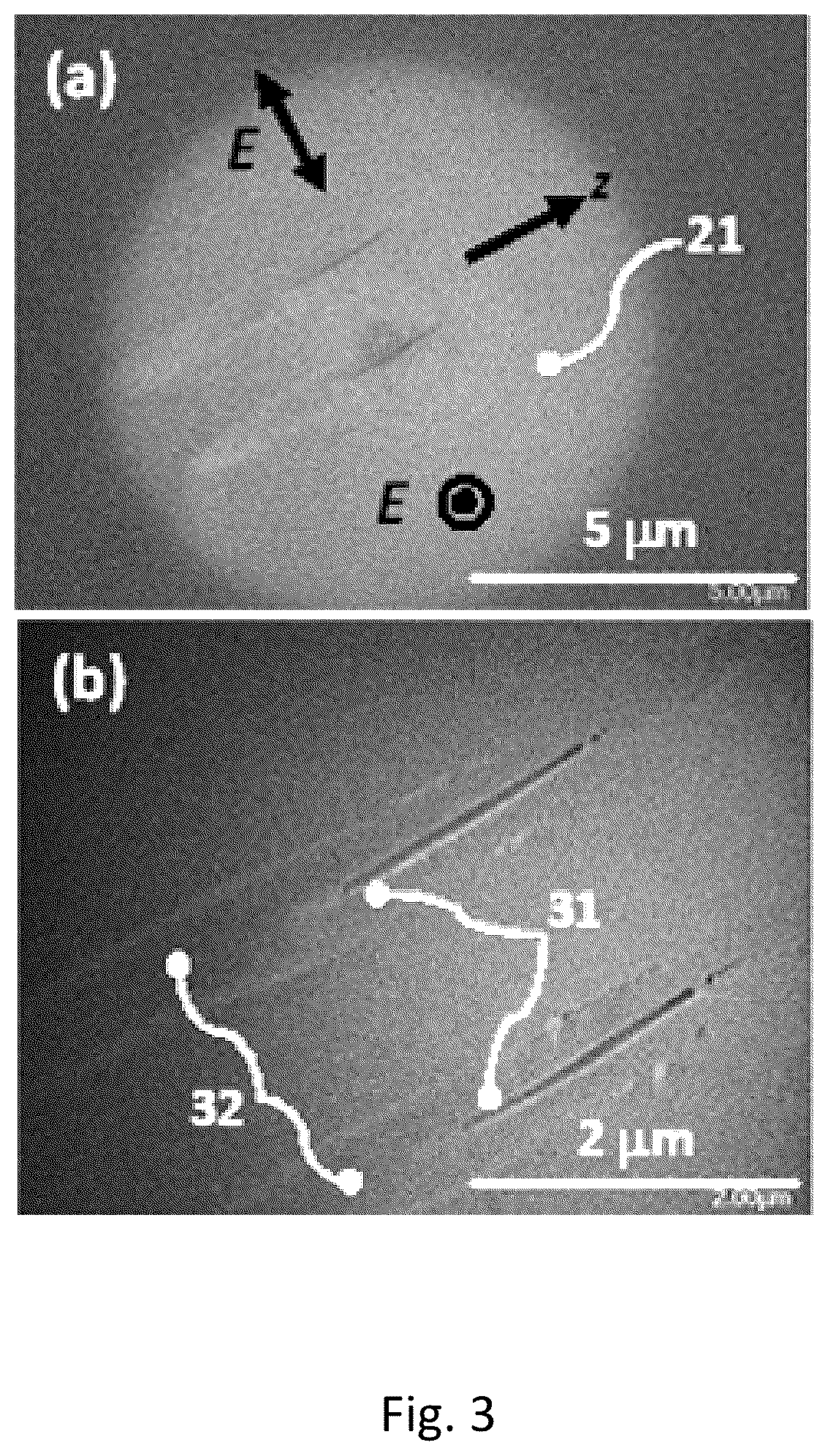 Patent US12613372 Figure 3 – Low scattering loss high temperature stable fiber Bragg grating sensor based on micropore formation and method for producing same