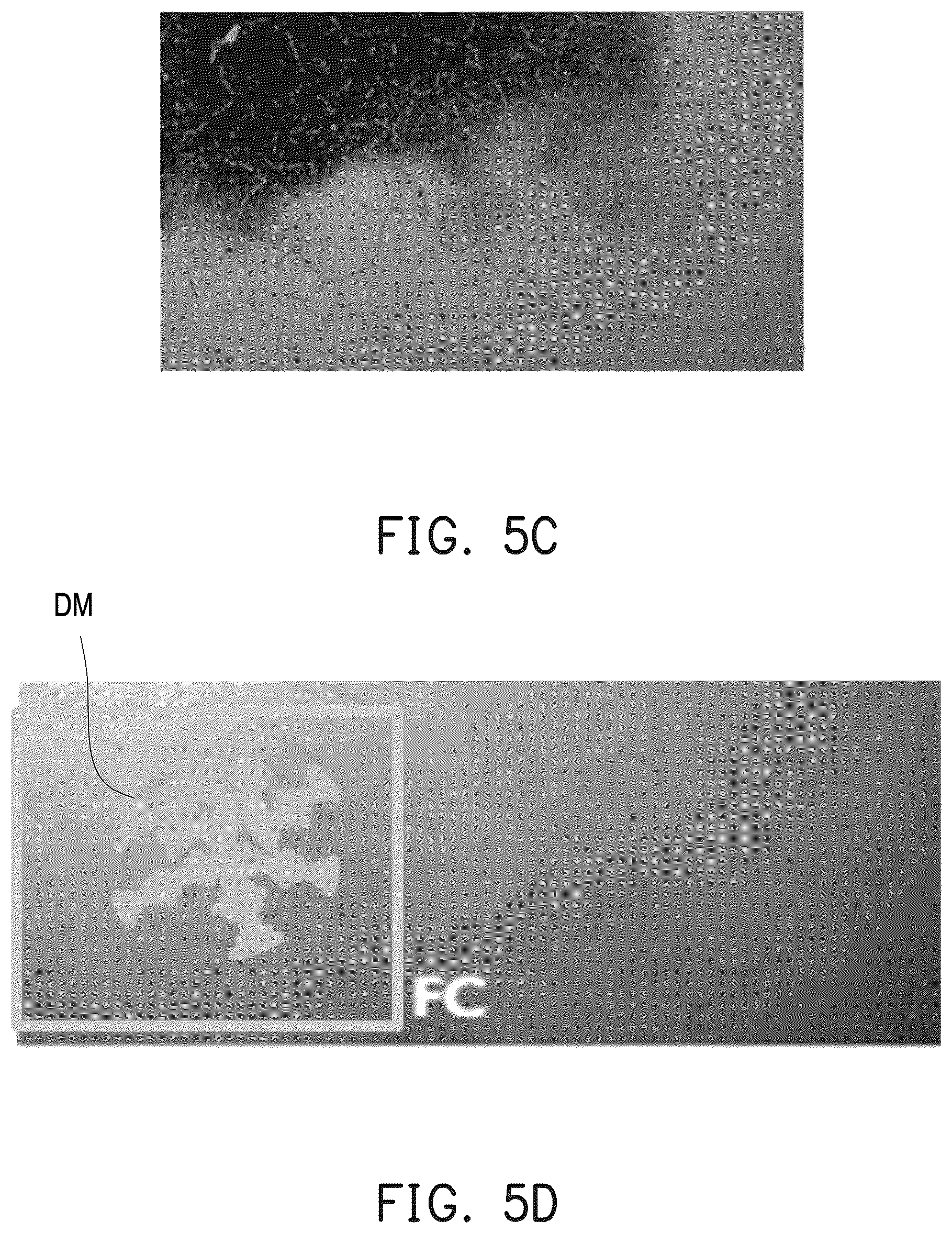 Patent US12613443 Figure 6 – Display device