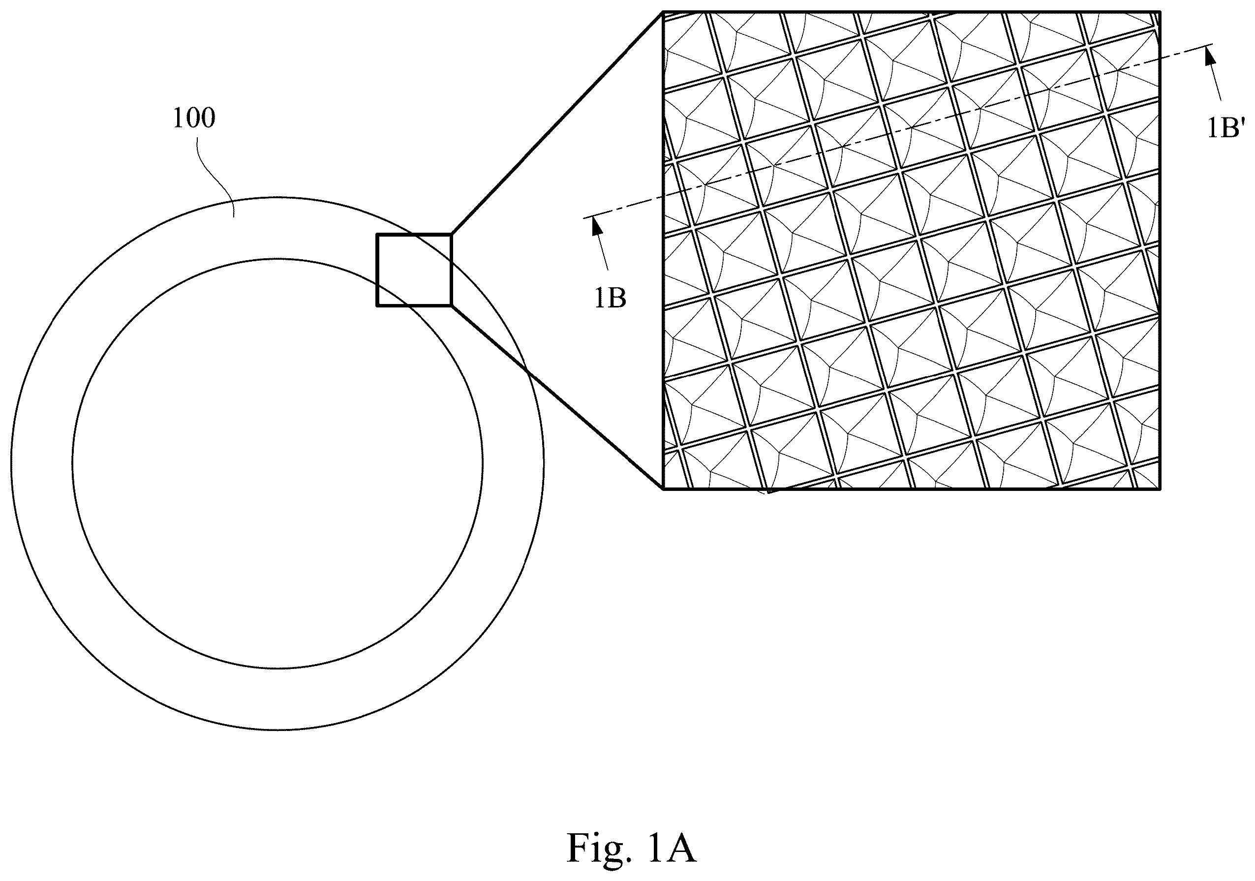 Patent US12613461 — Wavelength conversion component and light source module — Figure 1