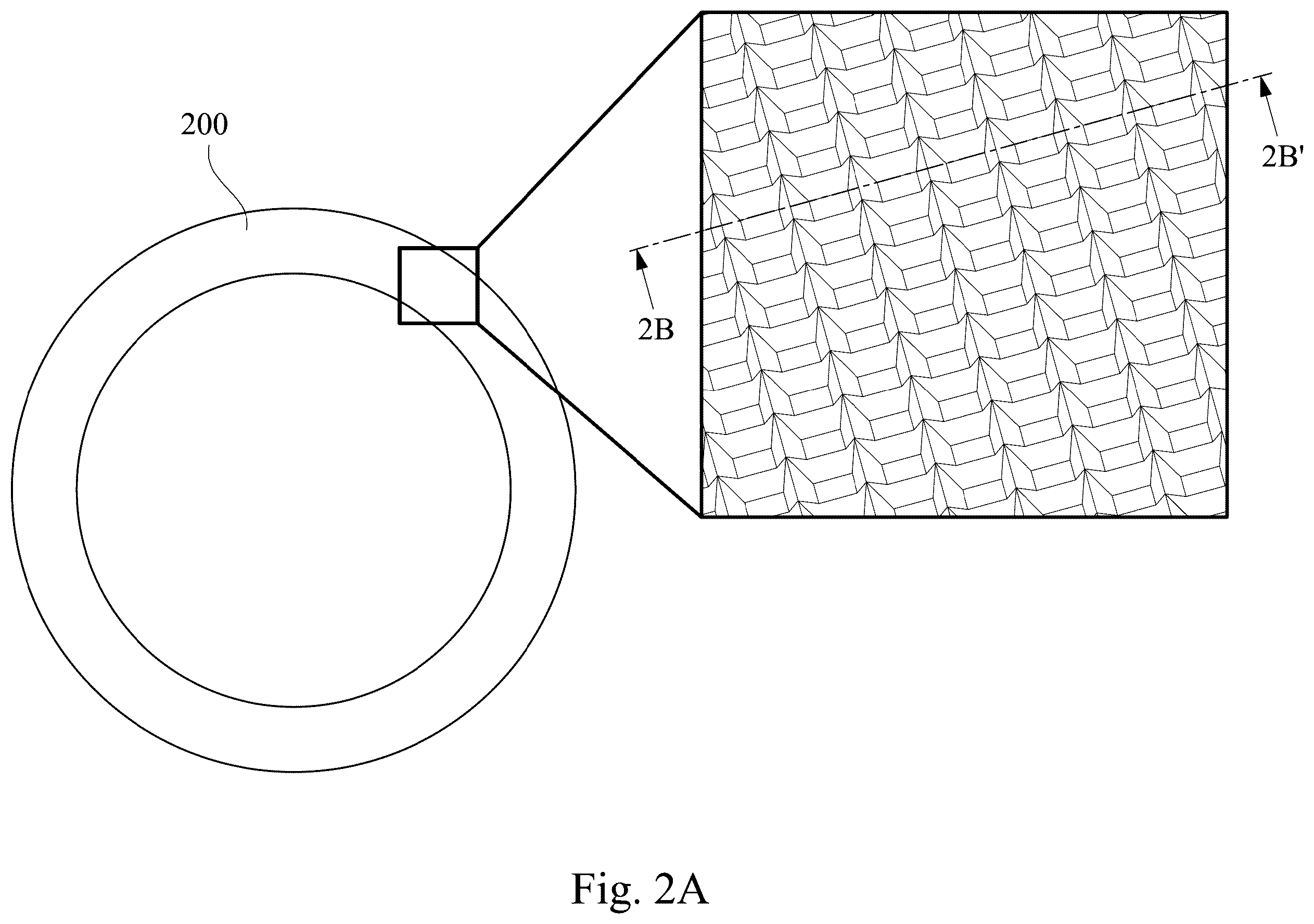 Patent US12613461 Figure 5 – Wavelength conversion component and light source module