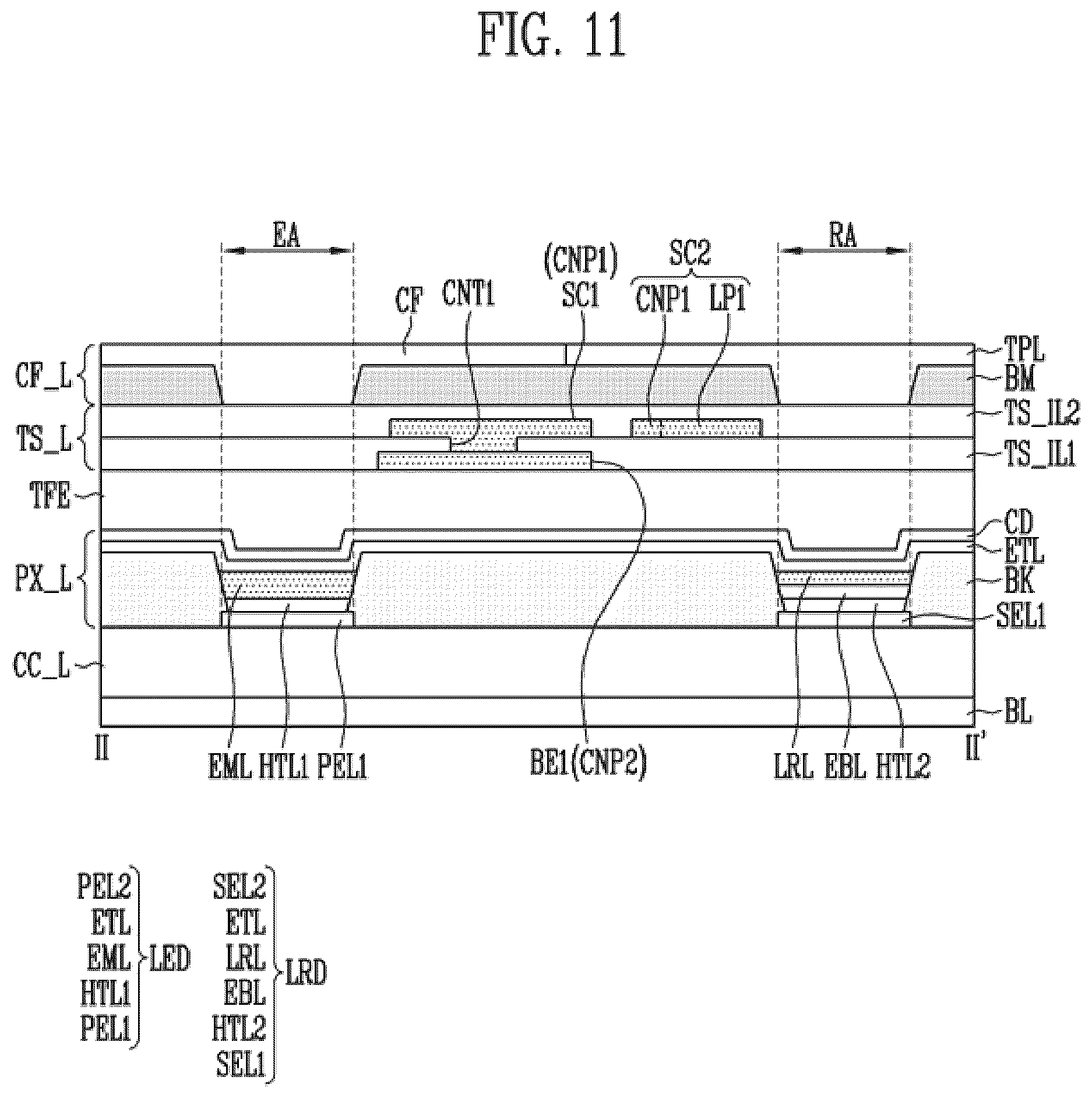 Patent US12613600 Figure 11 – Display device including touch sensing layer including conductive pattern