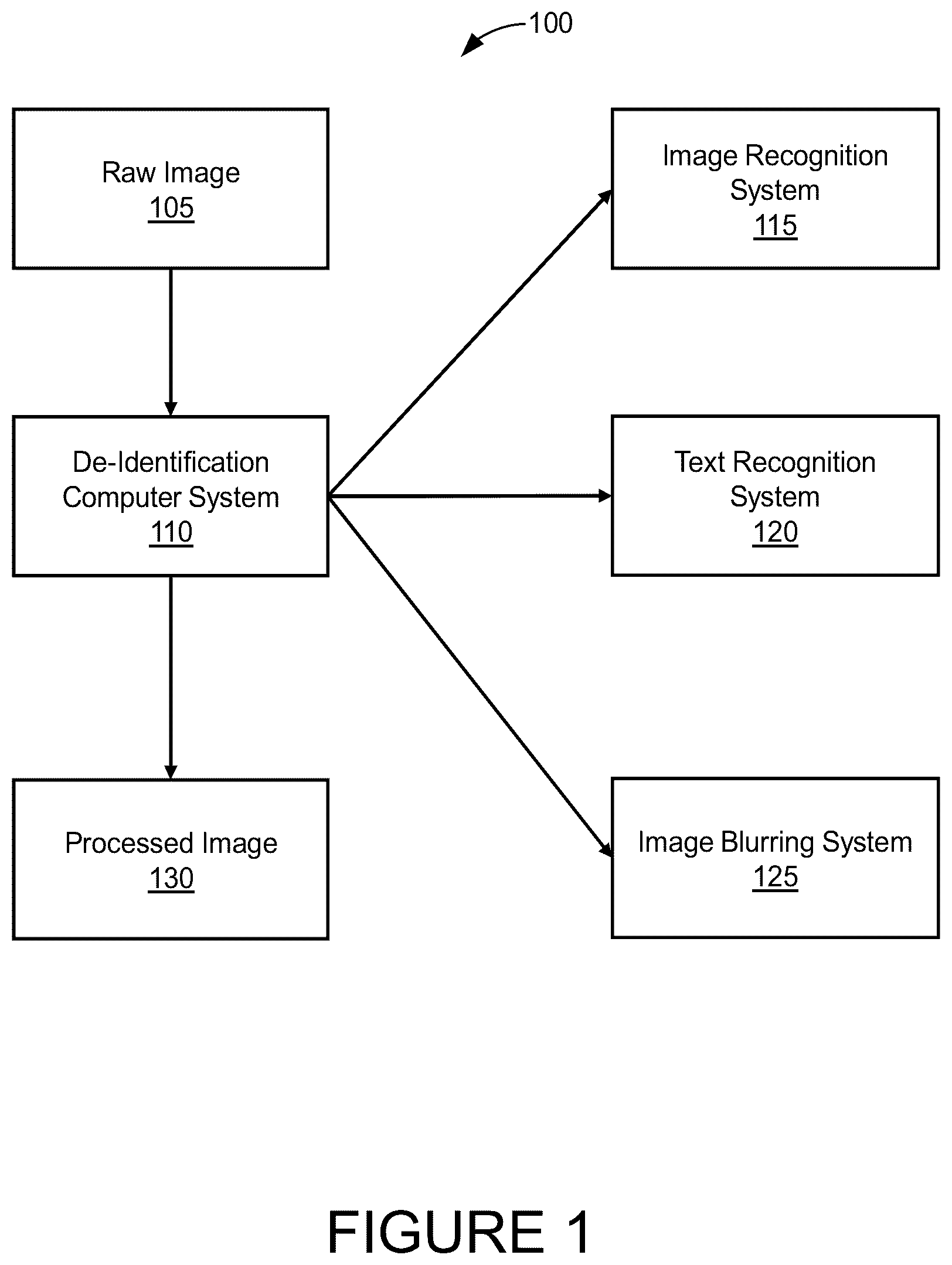 Patent US12613996 Figure 1 – Systems and methods for image privacy and de-identification
