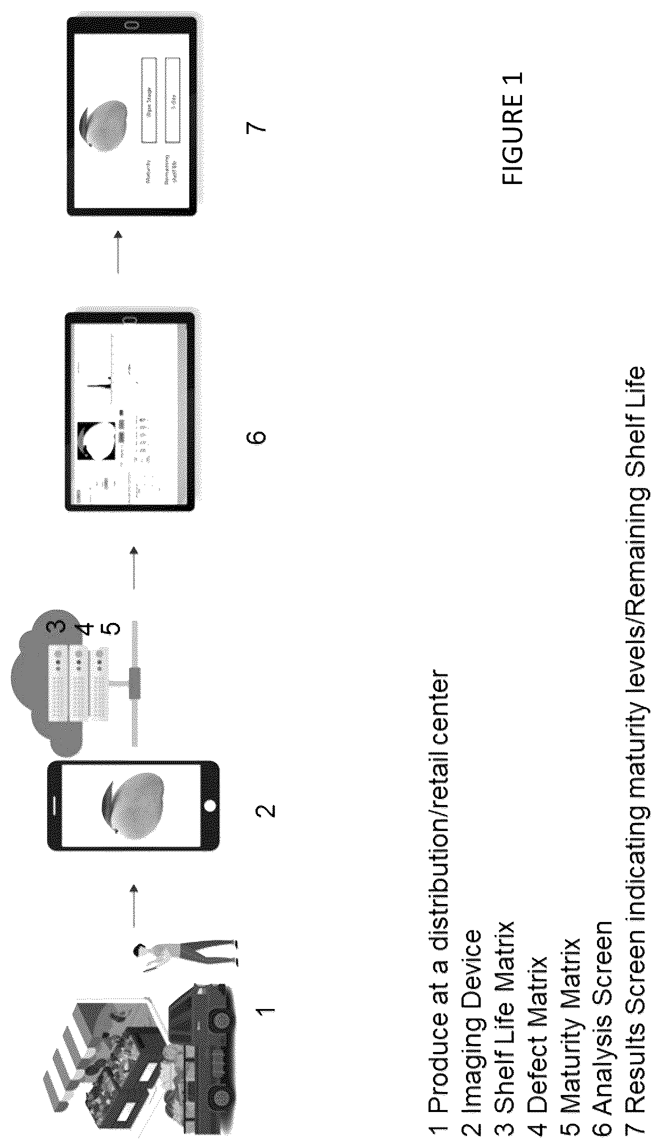 Patent US12614264 — Non-destructive method to predict shelf life and maturity of perishable commodities — Figure 1