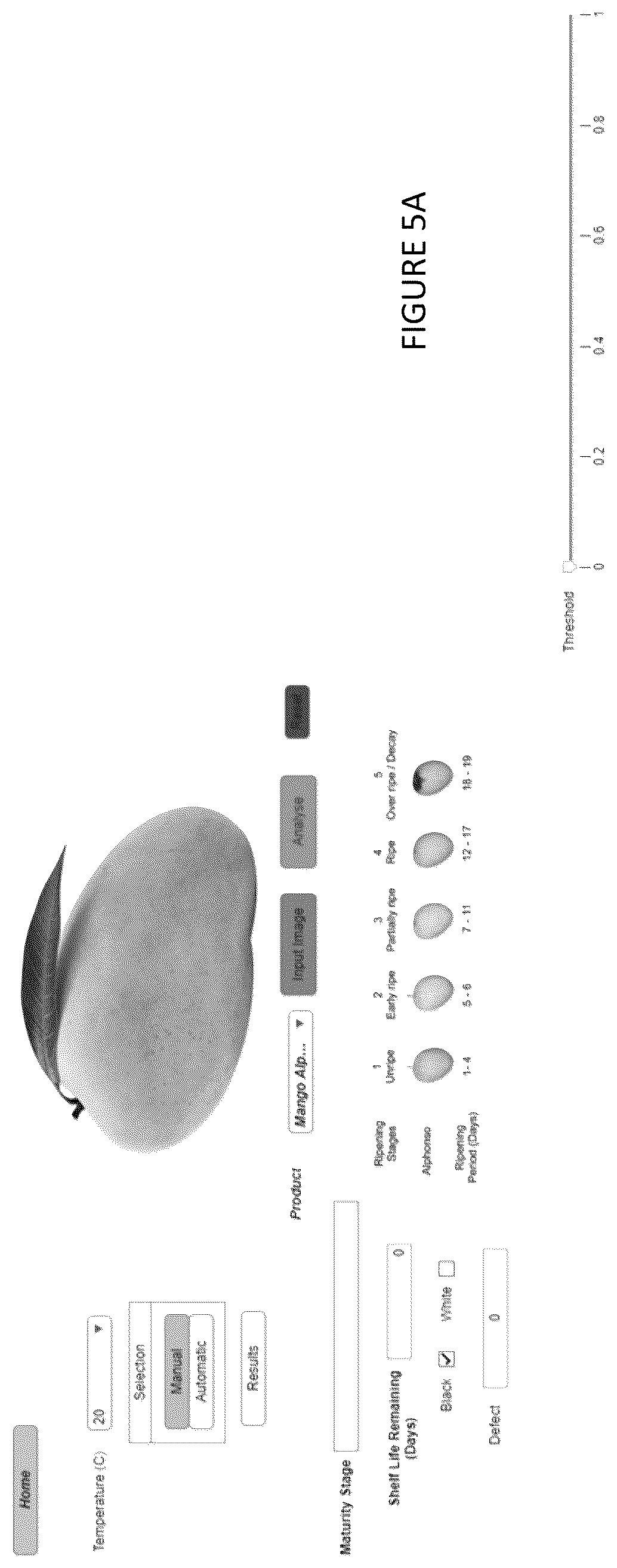 Patent US12614264 Figure 6 – Non-destructive method to predict shelf life and maturity of perishable commodities