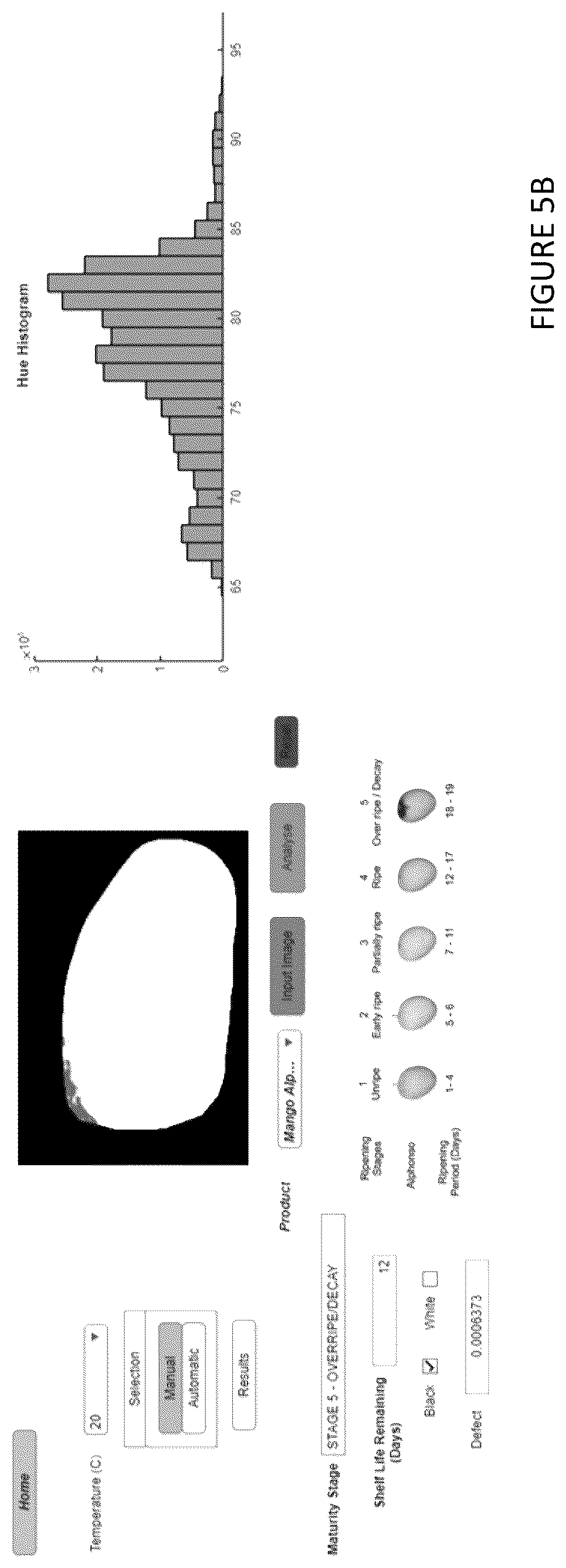 Patent US12614264 Figure 7 – Non-destructive method to predict shelf life and maturity of perishable commodities