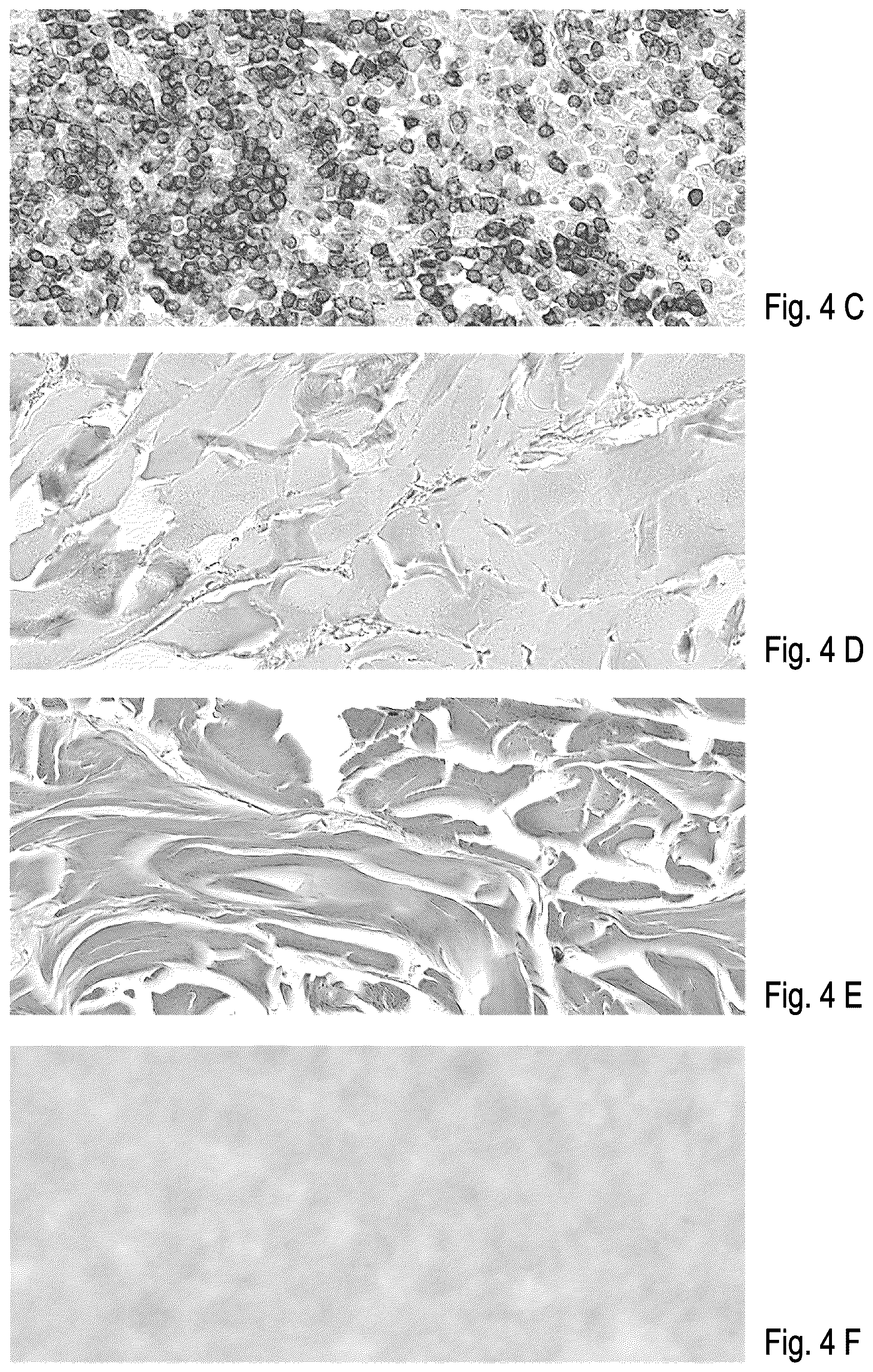 Patent US12614265 Figure 5 – Computer-implemented method for quality control of a digital image of a sample