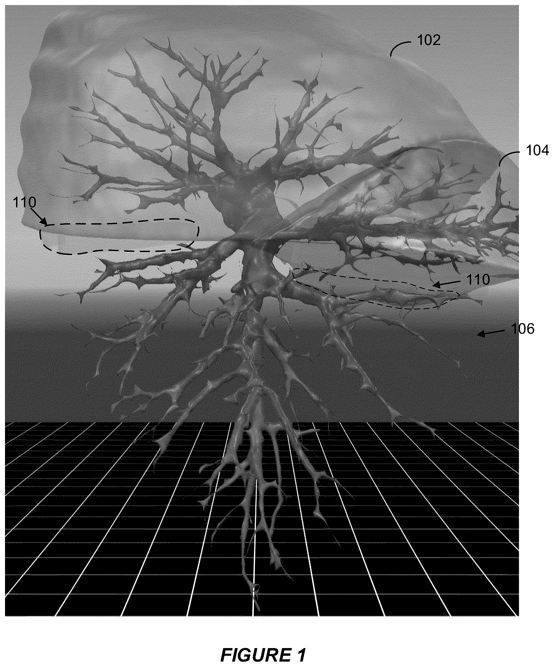 Patent US12614281 Figure 1 – Image analysis system for identifying lung features
