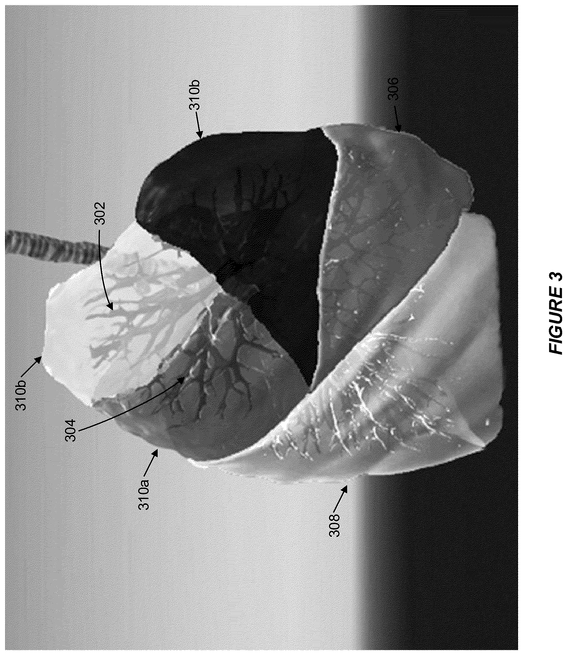 Patent US12614281 Figure 3 – Image analysis system for identifying lung features