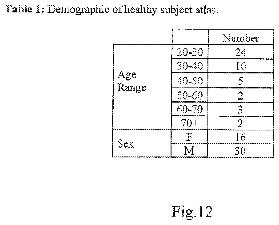 Patent US12614292 Figure 12 – Imaging abnormalities in vascular response