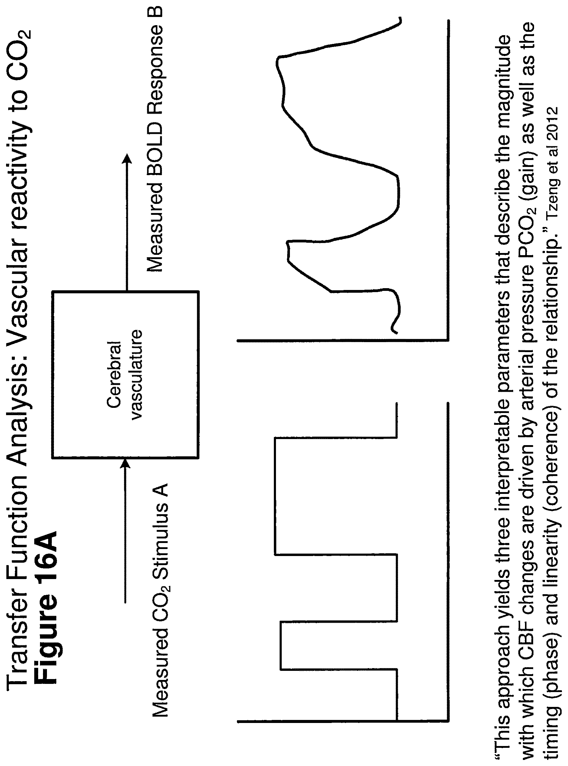 Patent US12614292 Figure 16 – Imaging abnormalities in vascular response