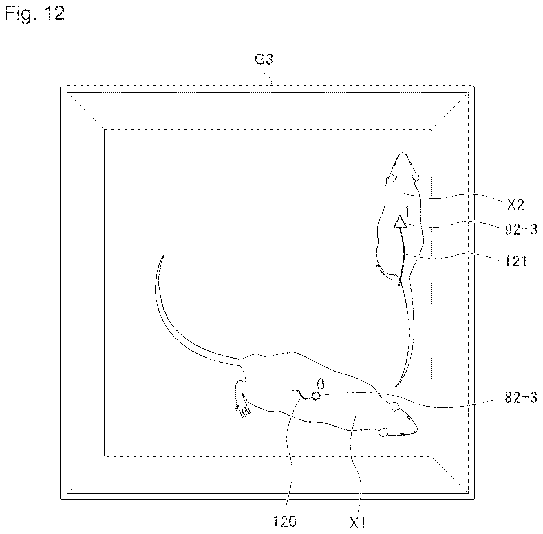 Patent US12614294 Figure 12 – Information processing device for identifying individual animals and activities in using body part extraction