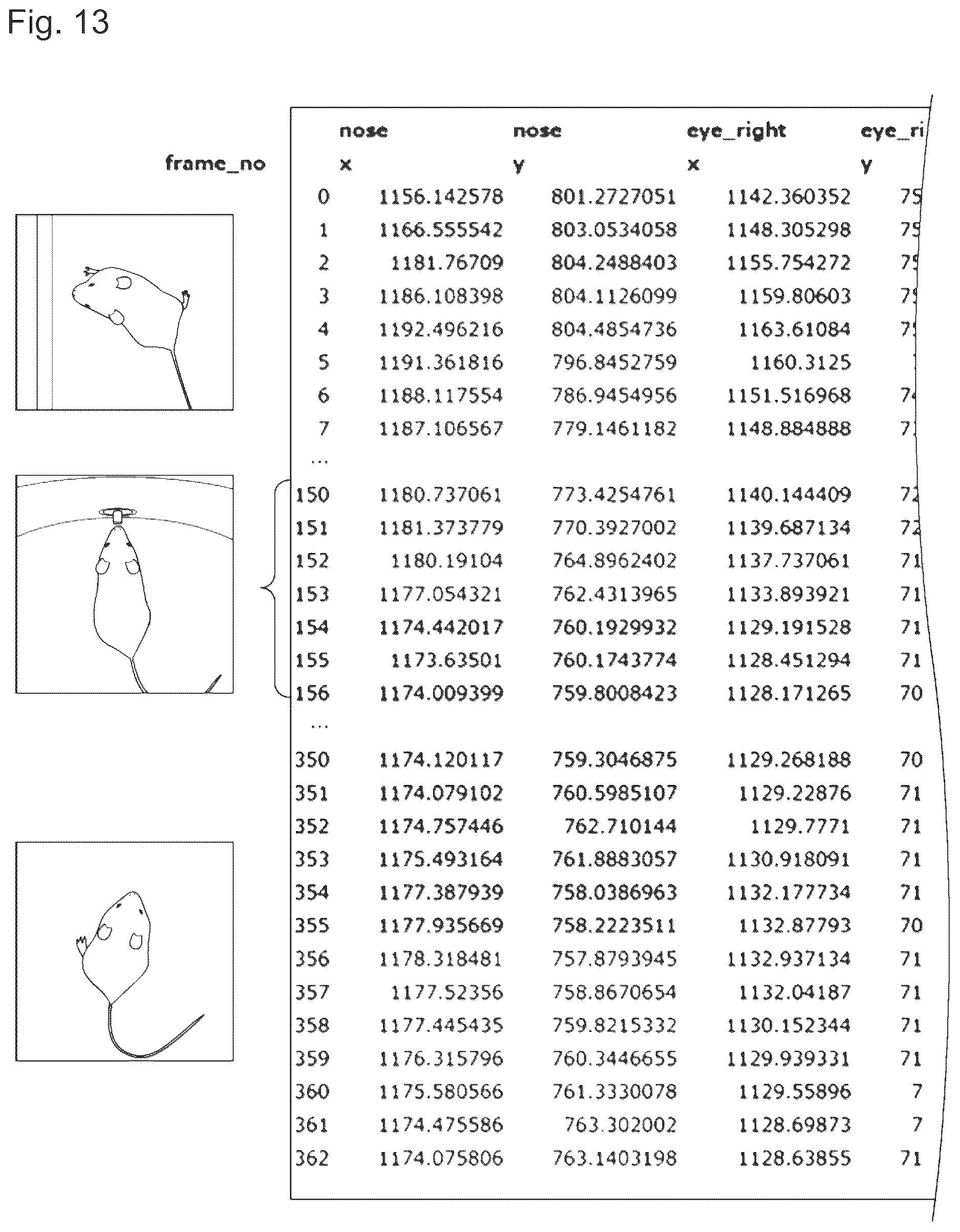 Patent US12614294 Figure 13 – Information processing device for identifying individual animals and activities in using body part extraction