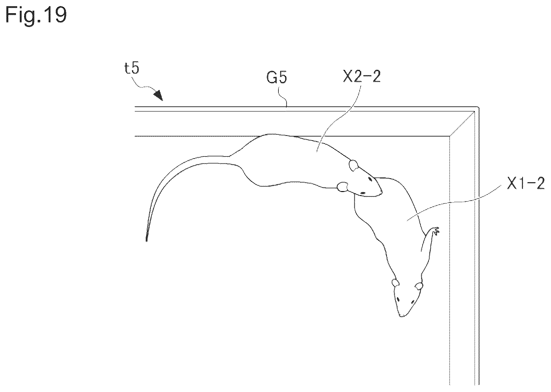 Patent US12614294 Figure 19 – Information processing device for identifying individual animals and activities in using body part extraction