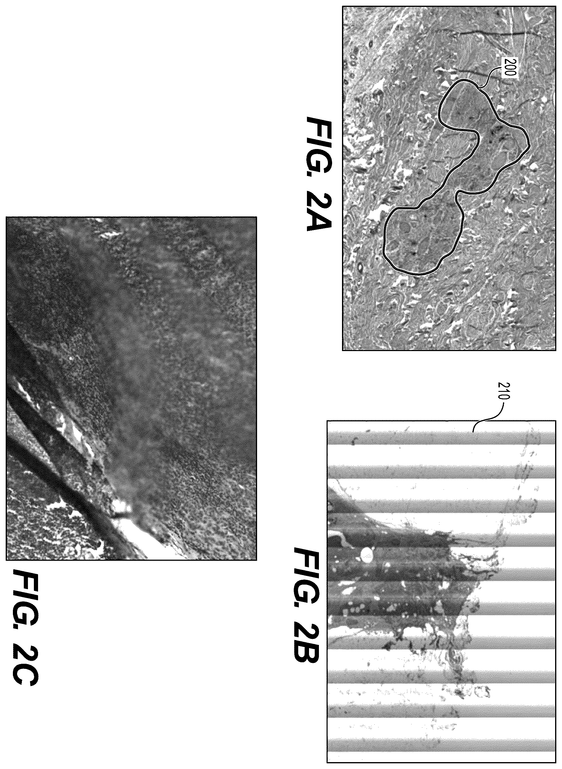 Patent US12614378 Figure 4 – Systems and methods to process electronic images to determine histopathology quality