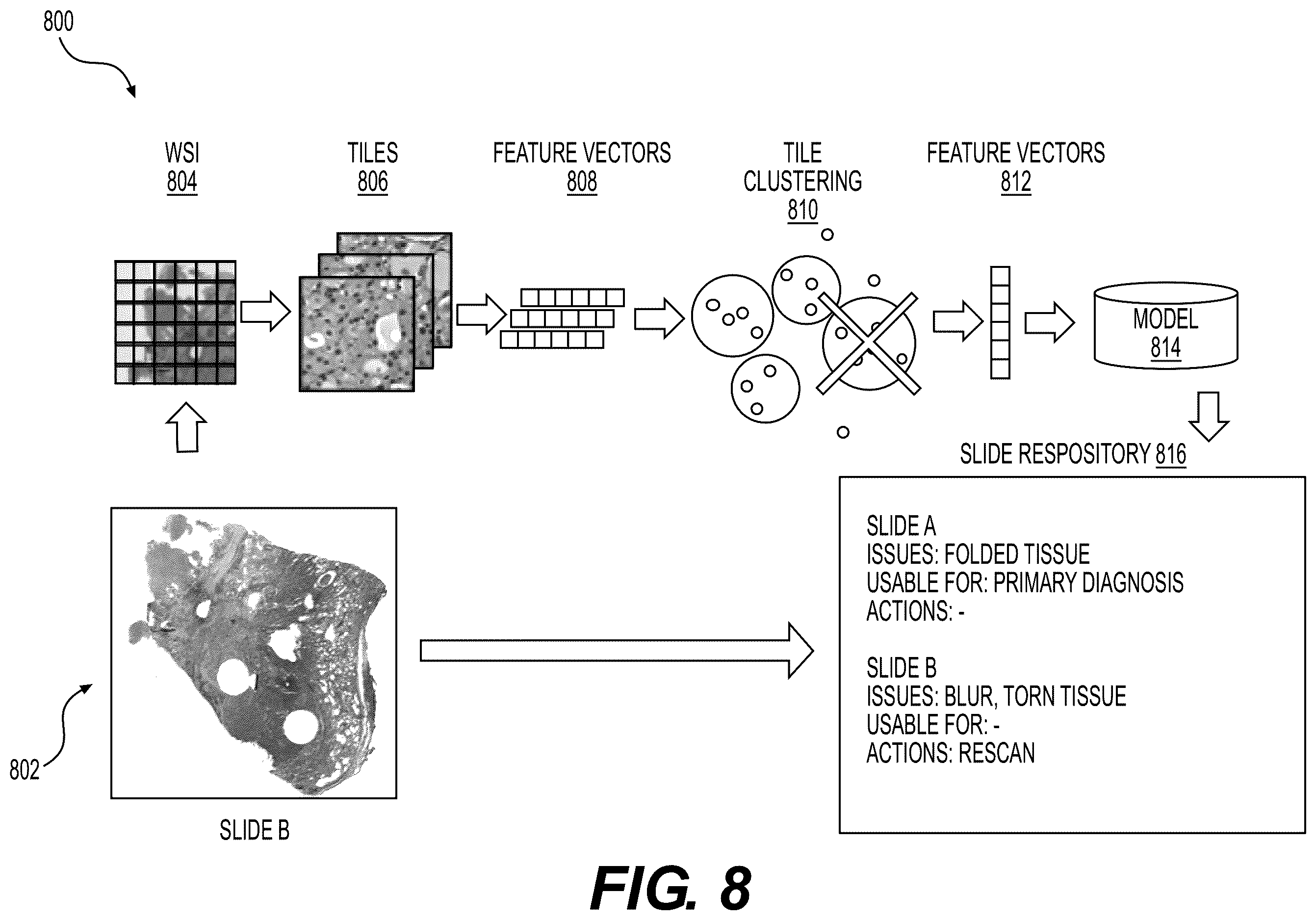 Patent US12614378 Figure 12 – Systems and methods to process electronic images to determine histopathology quality