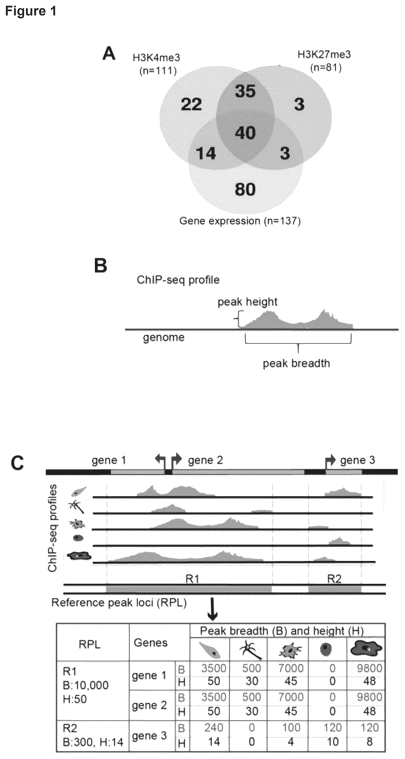 Patent US12614607 Figure 1 – Cell culture methods and compositions
