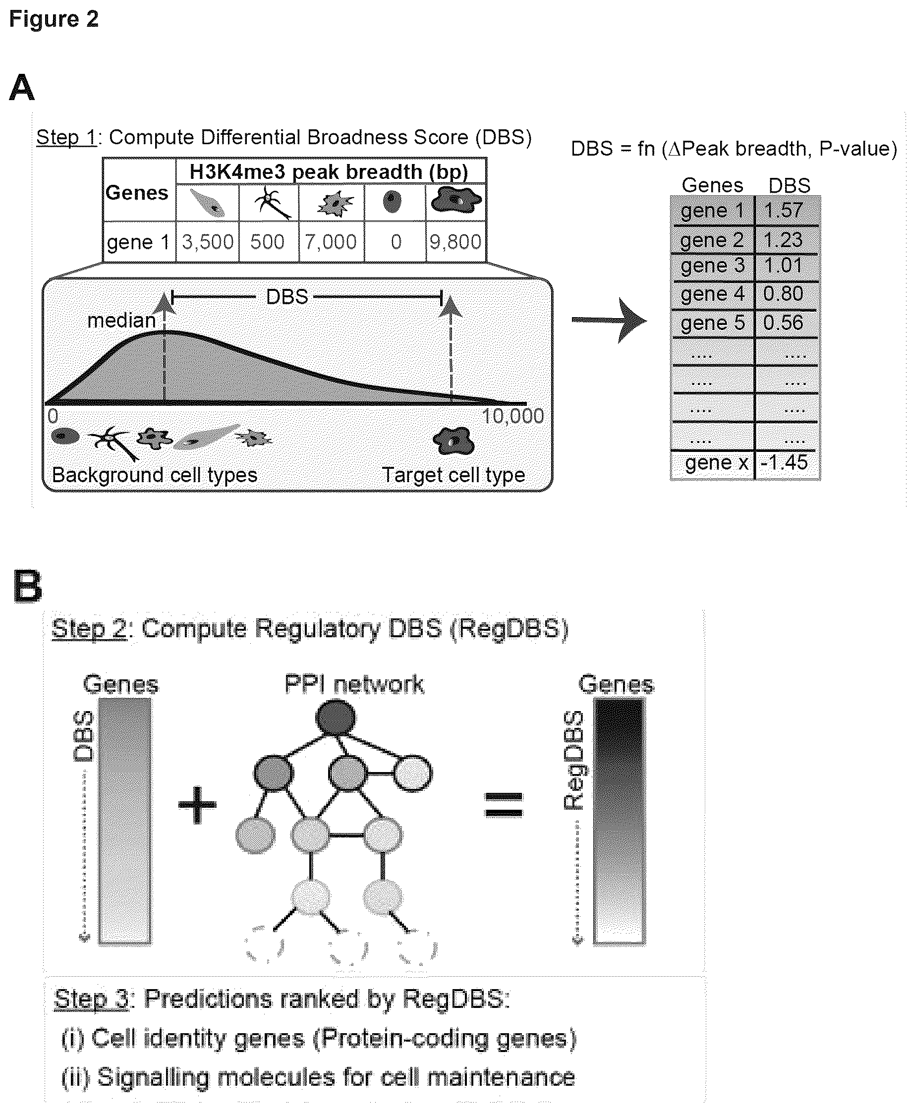 Patent US12614607 Figure 3 – Cell culture methods and compositions