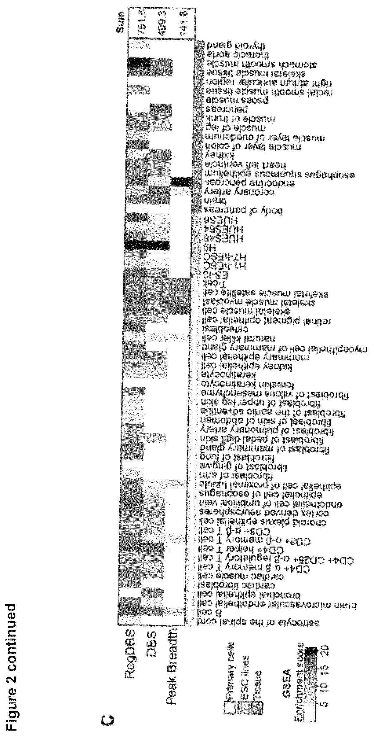 Patent US12614607 Figure 4 – Cell culture methods and compositions