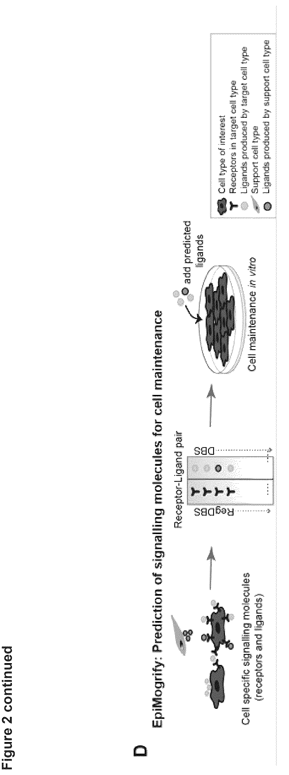 Patent US12614607 Figure 5 – Cell culture methods and compositions