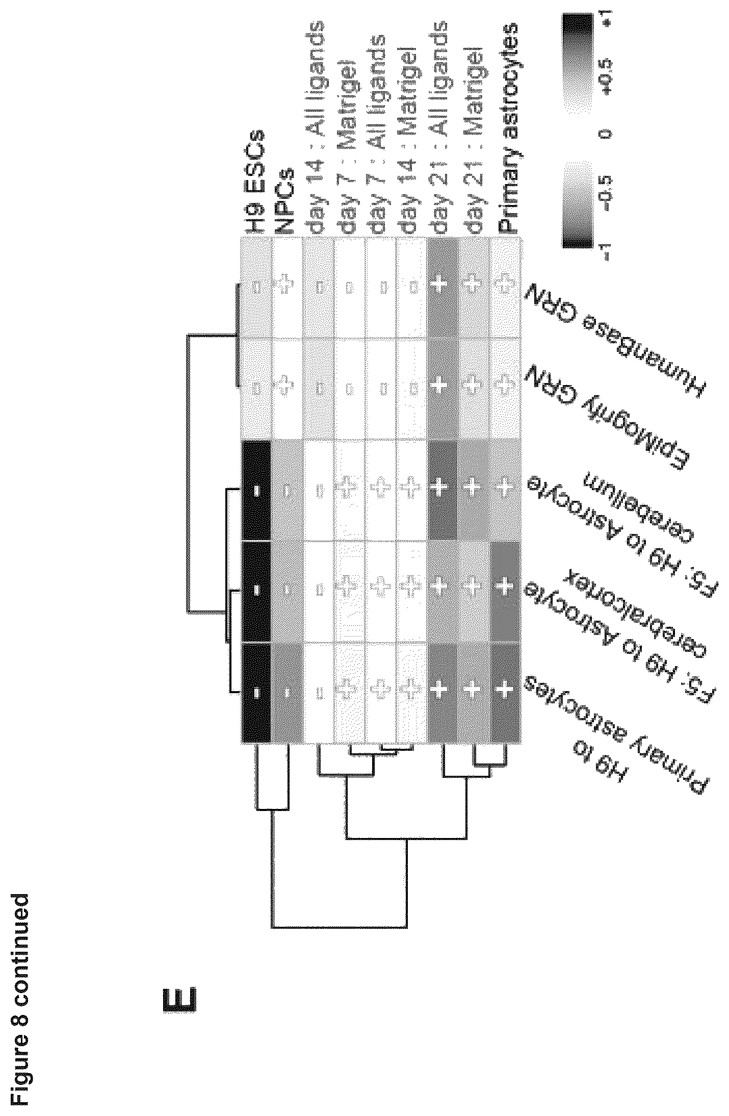 Patent US12614607 Figure 18 – Cell culture methods and compositions