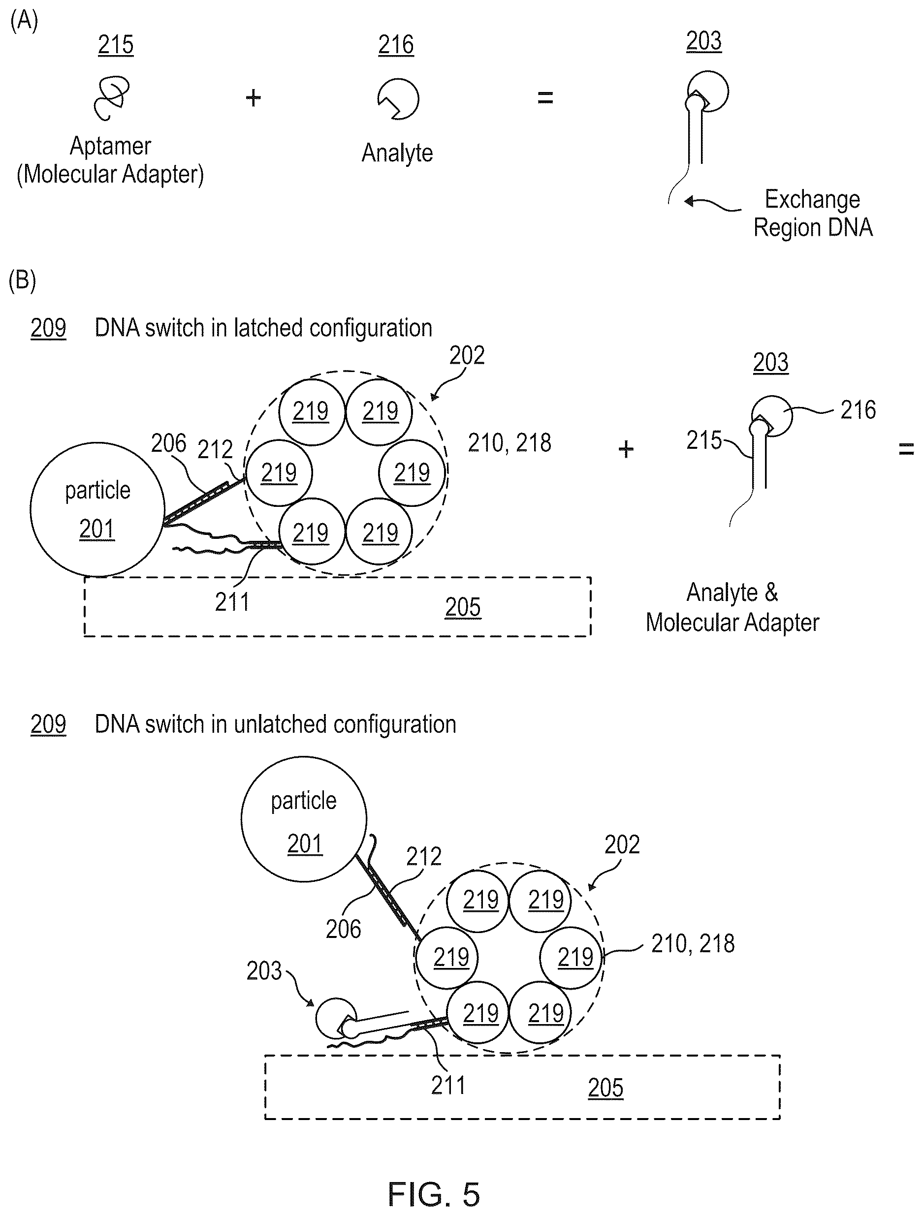 Patent US12614610 Figure 5 – Agile nucleic acid sensor and measuring a biomarker