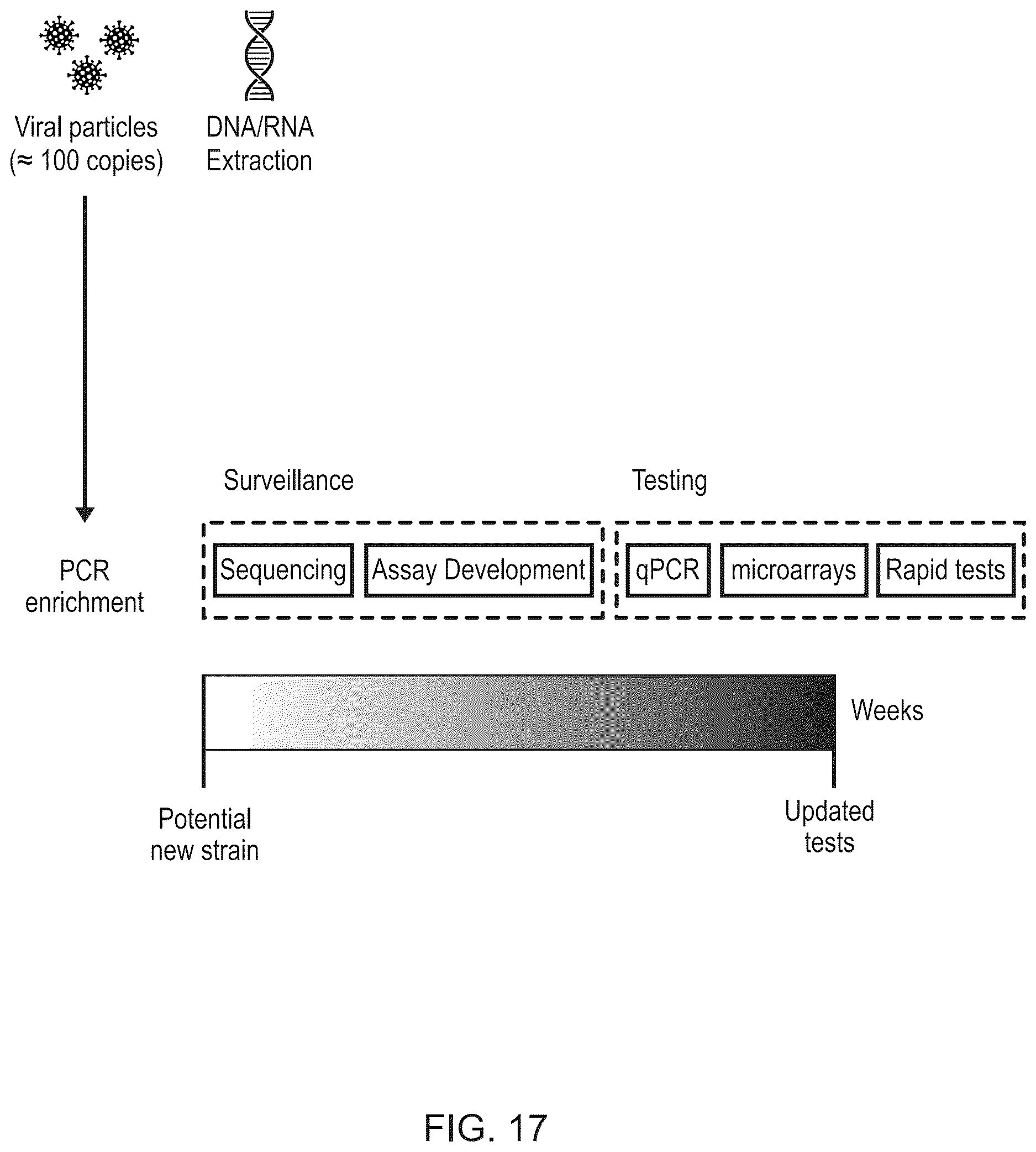 Patent US12614610 Figure 17 – Agile nucleic acid sensor and measuring a biomarker