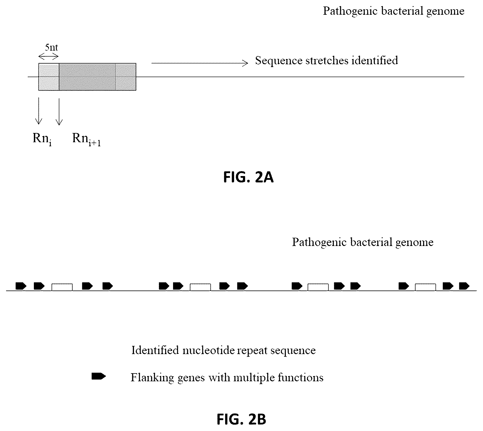 Patent US12614611 Figure 2 – Method and system for identification of candidate target sites for combating pathogens