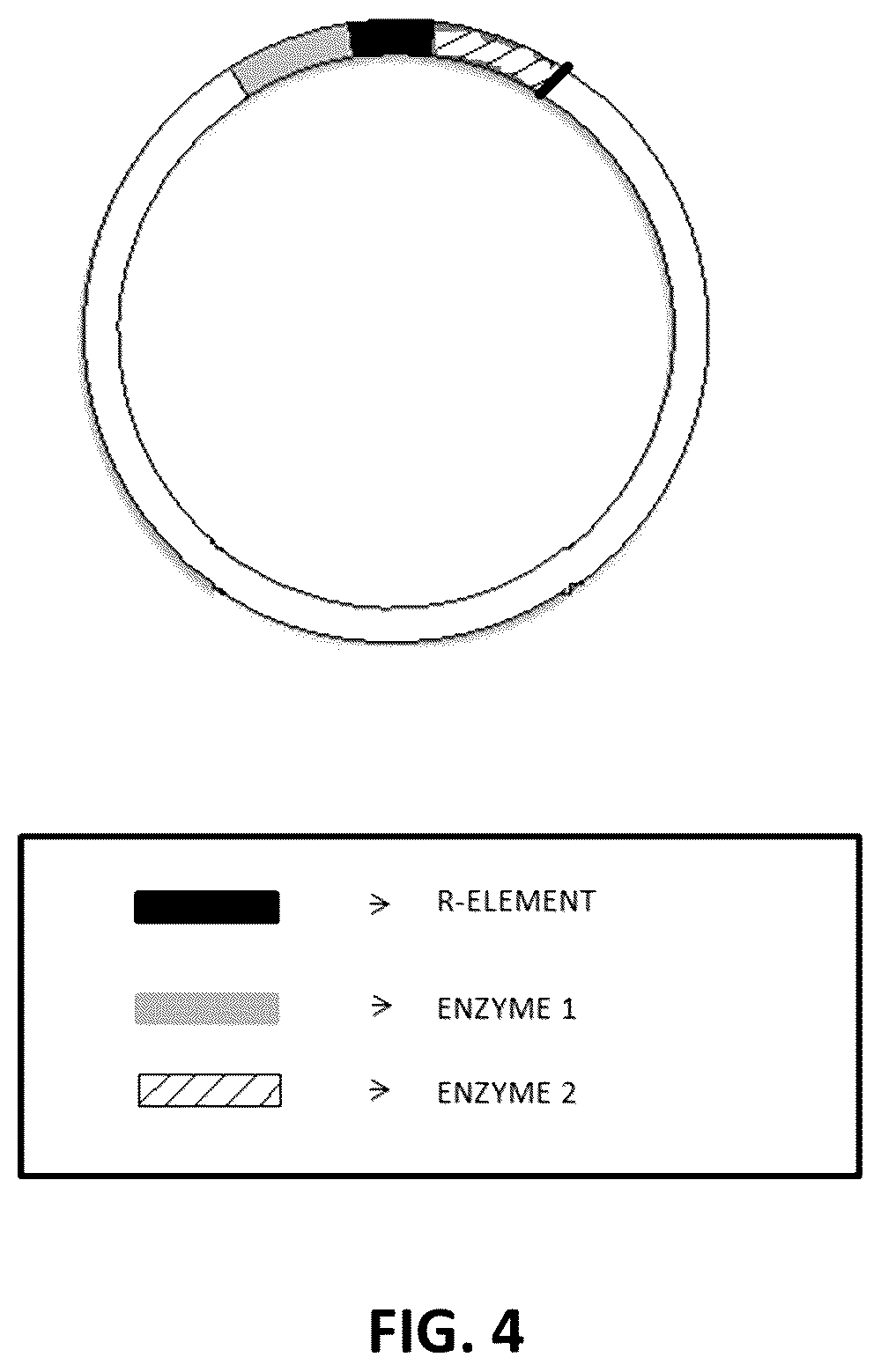 Patent US12614611 Figure 4 – Method and system for identification of candidate target sites for combating pathogens