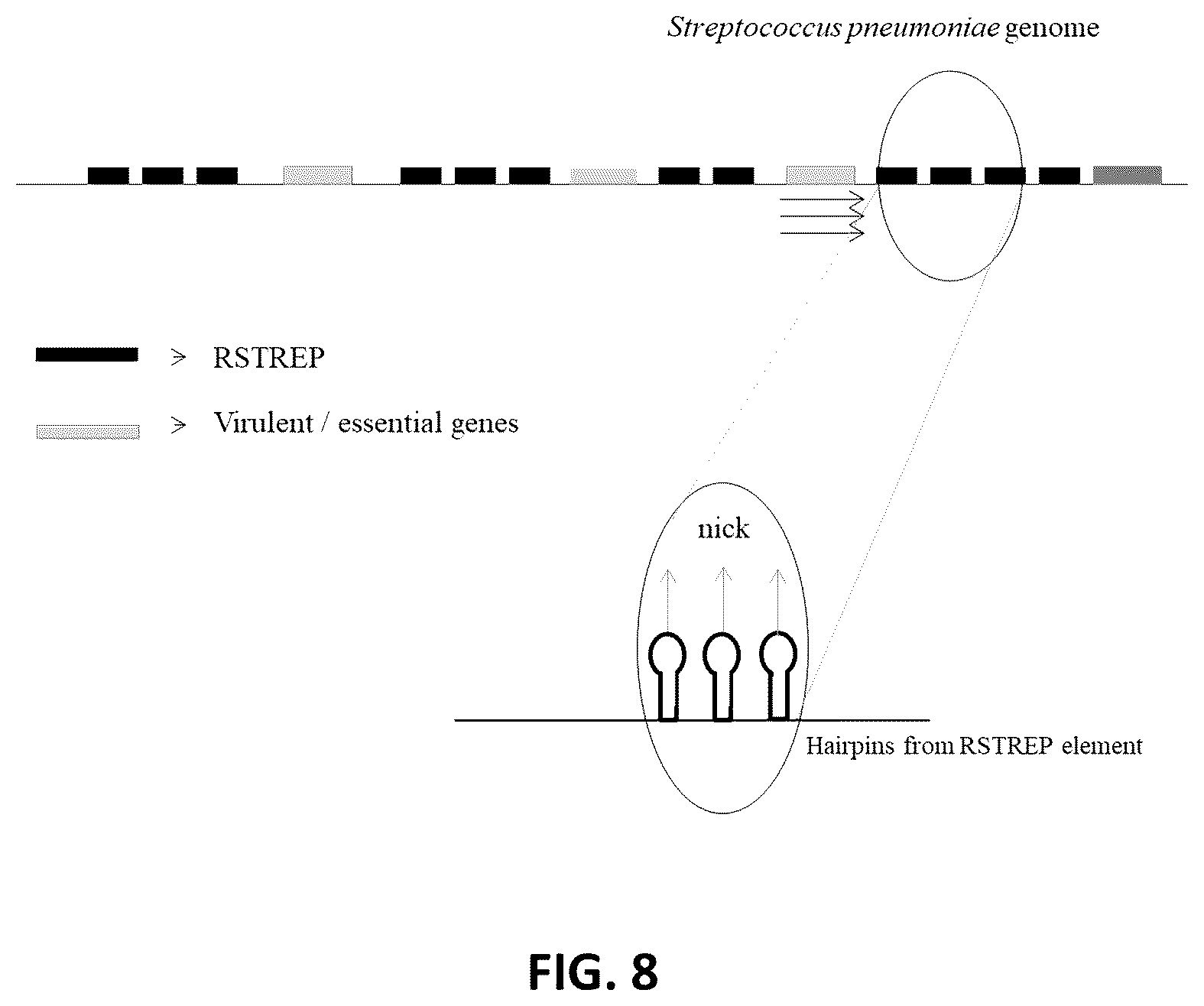 Patent US12614611 Figure 8 – Method and system for identification of candidate target sites for combating pathogens