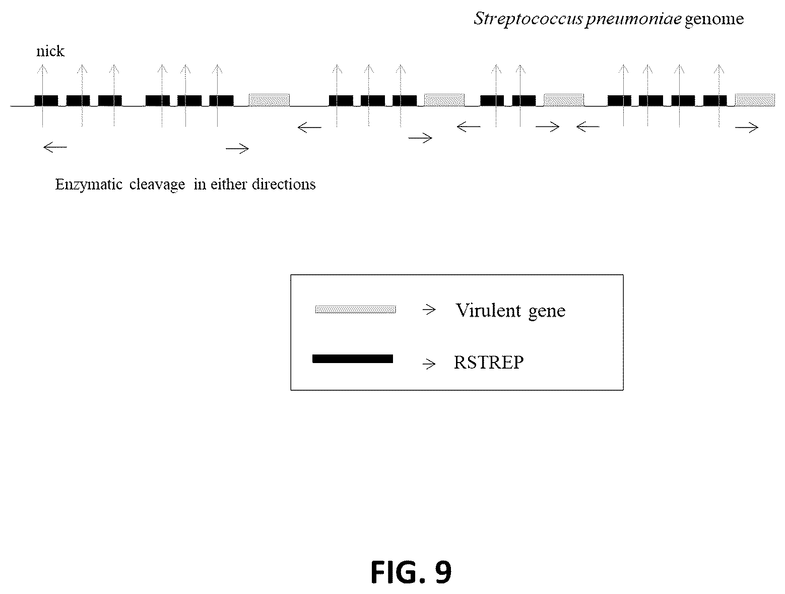 Patent US12614611 Figure 9 – Method and system for identification of candidate target sites for combating pathogens