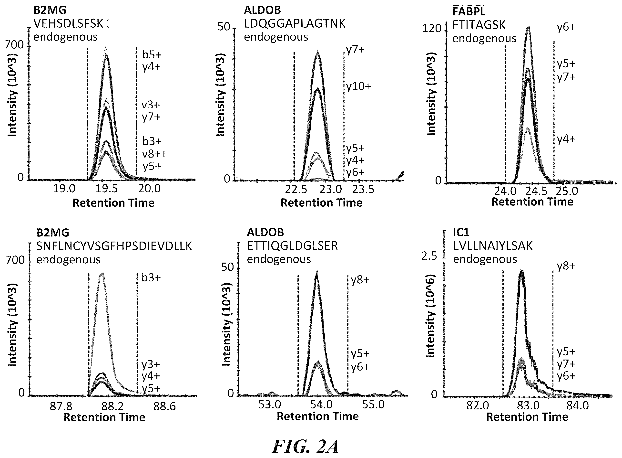 Patent US12614637 Figure 2 – In vitro method for predicting mortality risk in patients suffering from shock